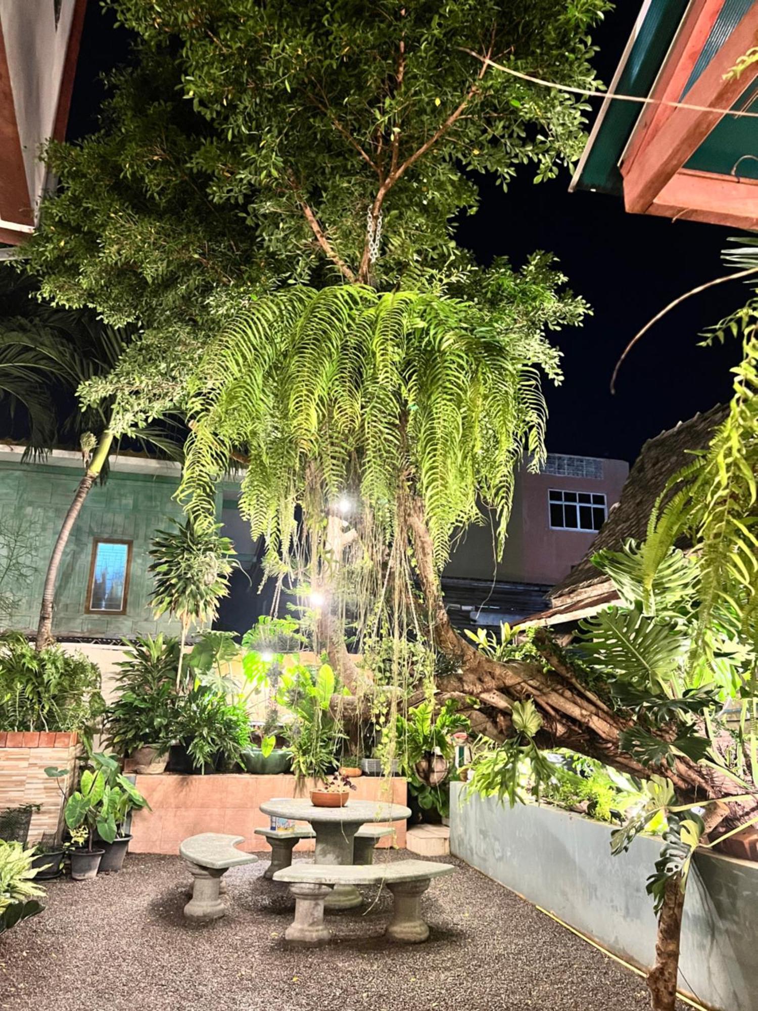 Sofia Hua Hin