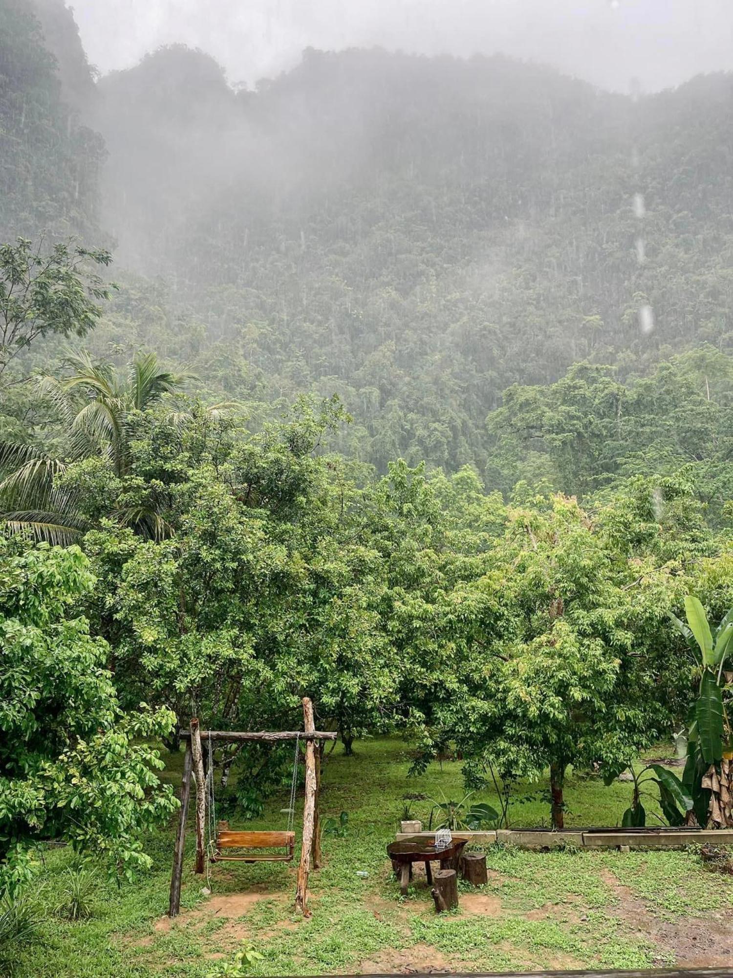 Khao Sok Mountain View 2*