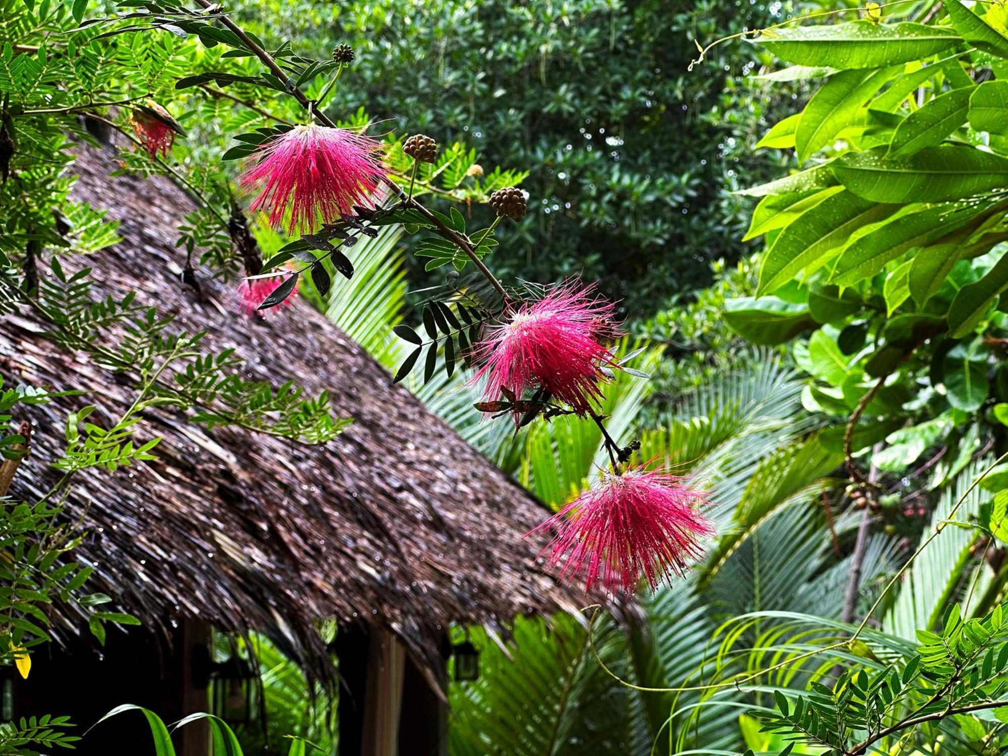 Dreamville Koh Phangan Resort 3*