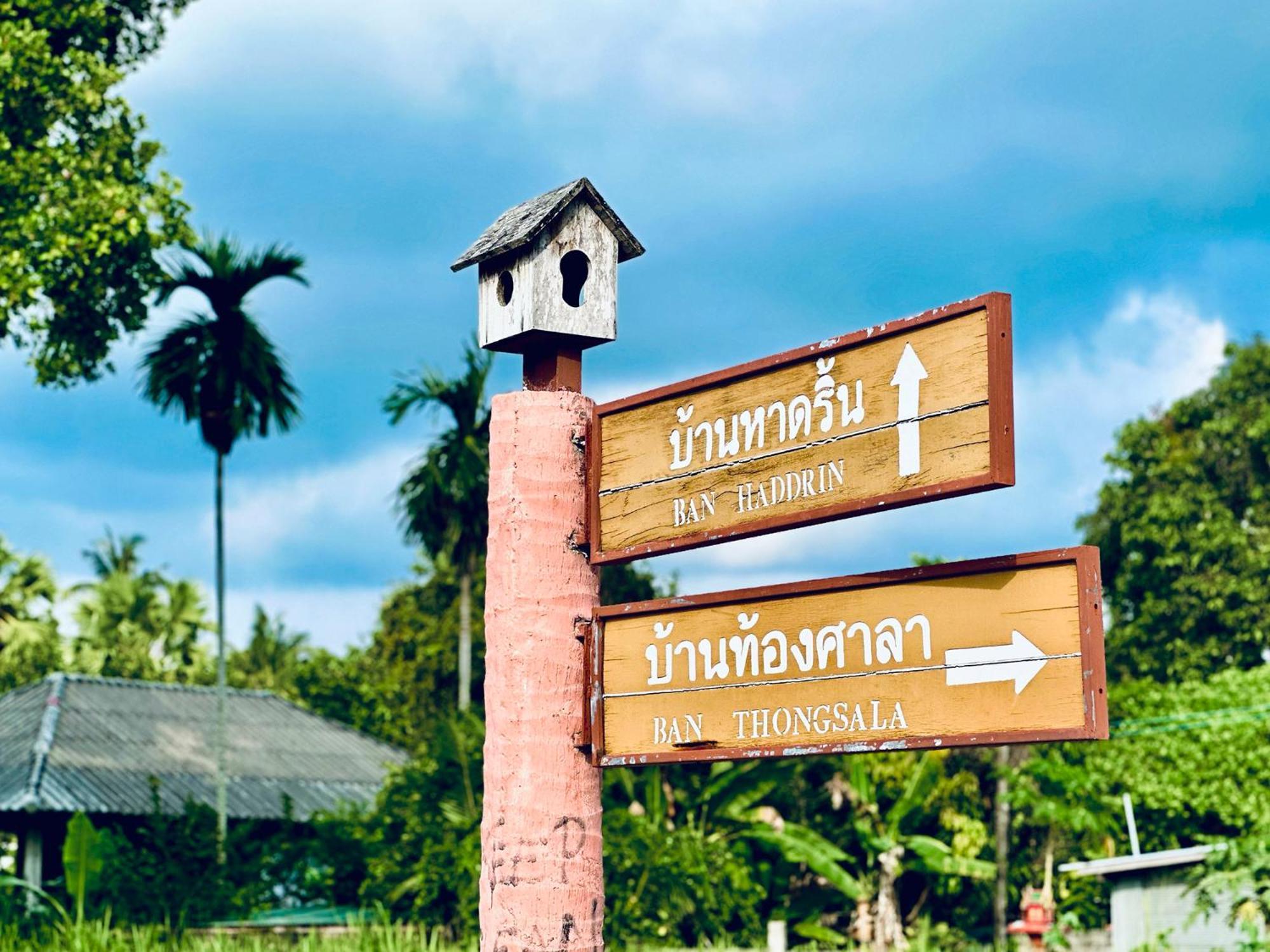 Dreamville Koh Phangan Thongsala