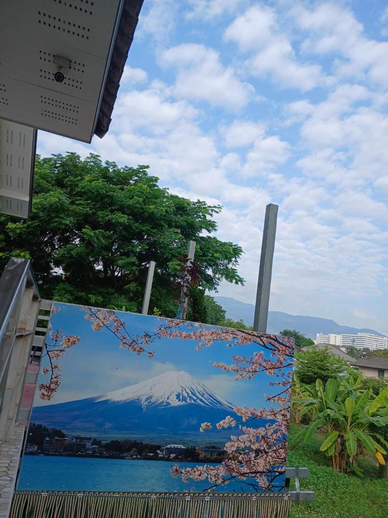 Sakura House Albergue