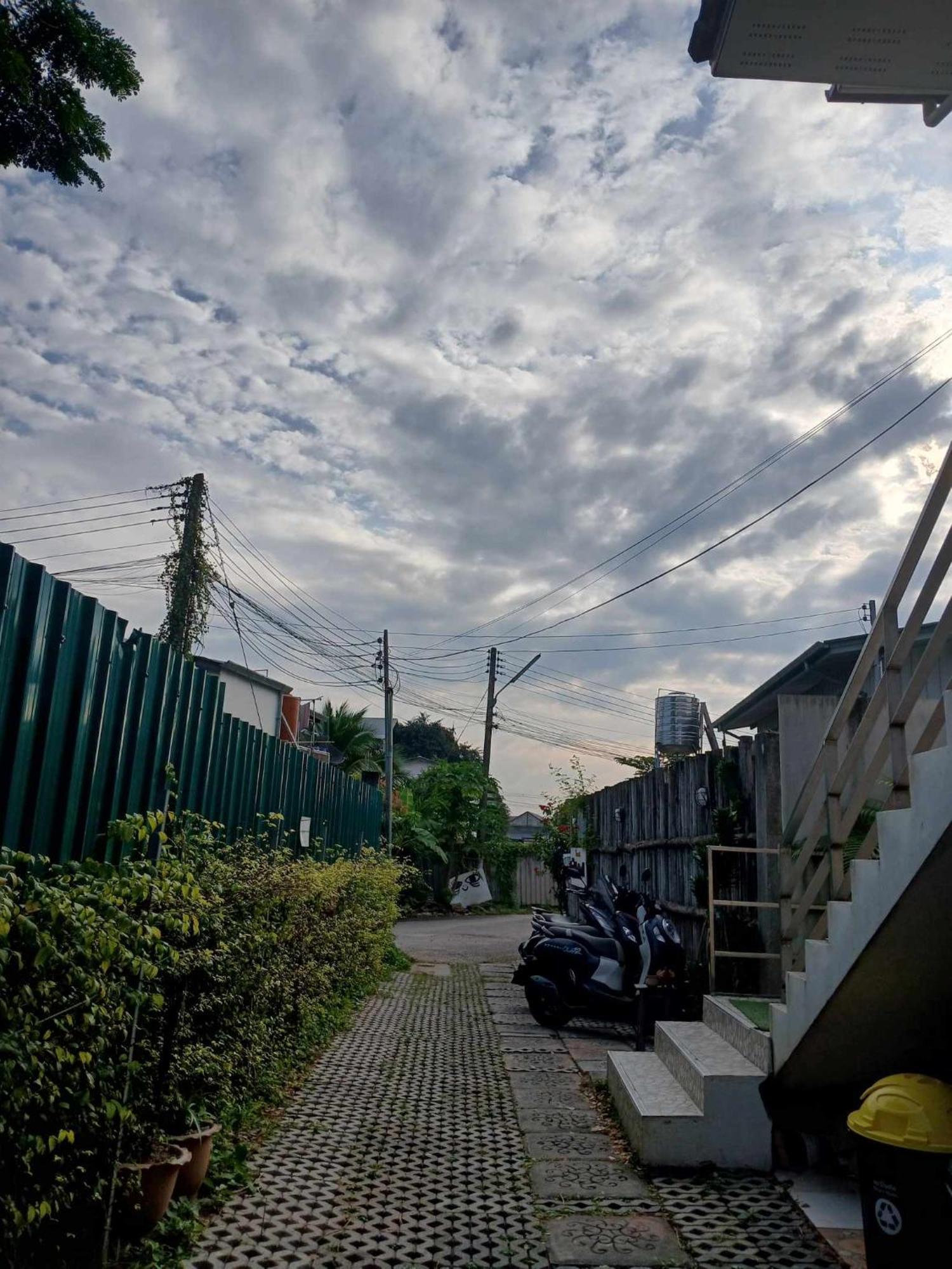 Albergue Sakura House *