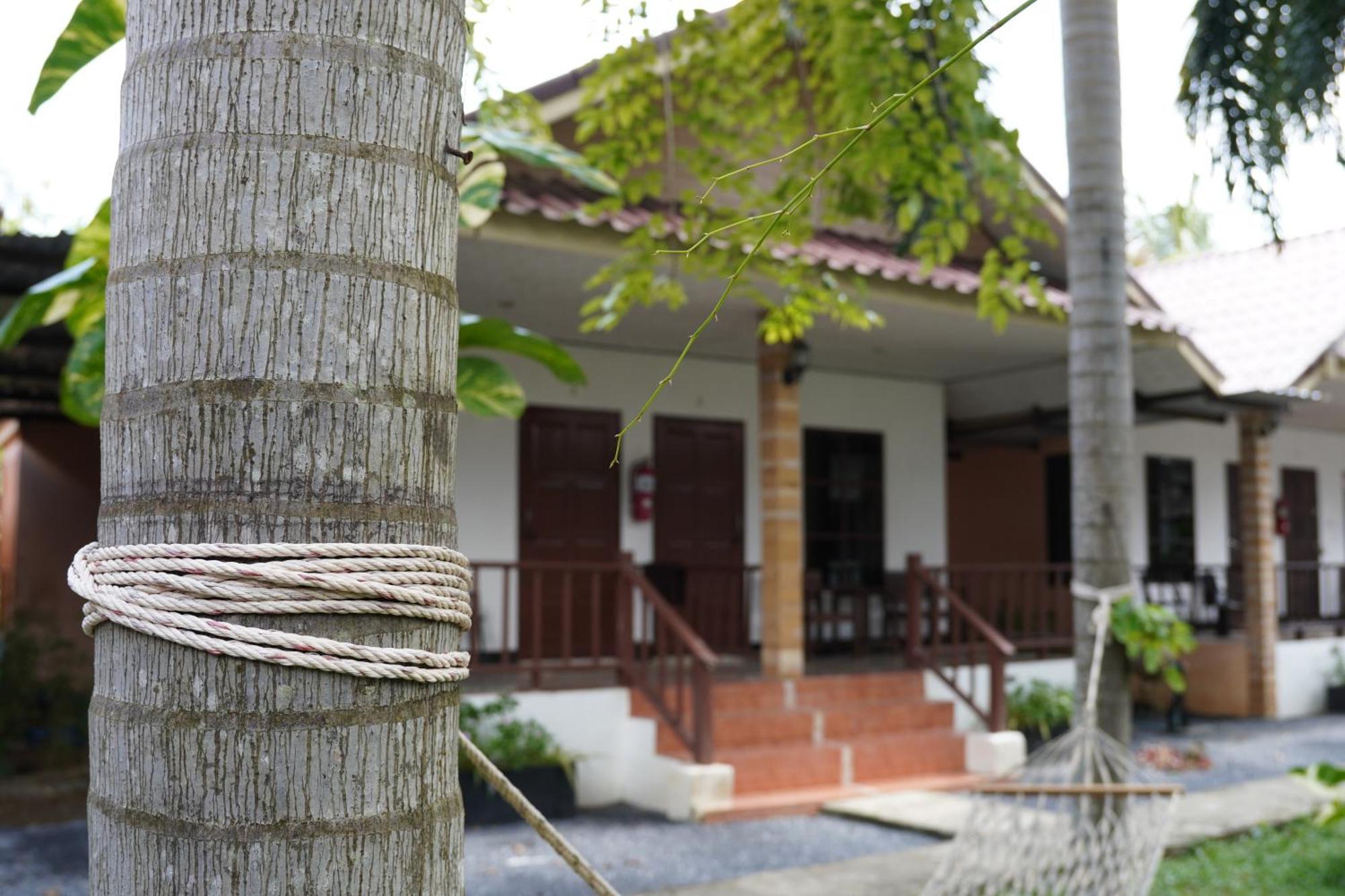 Guest house Naraya