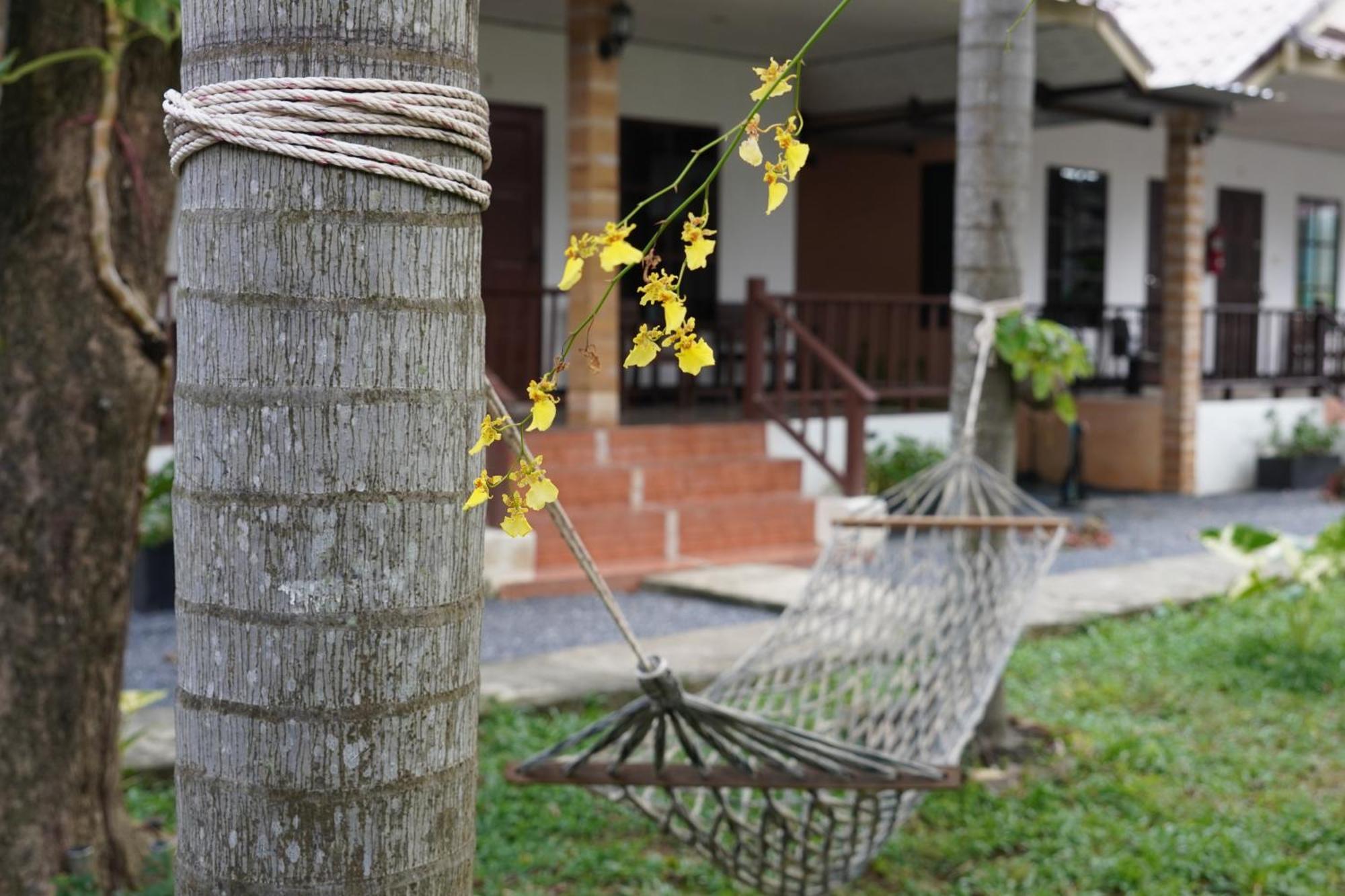 Naraya Guest house 2*