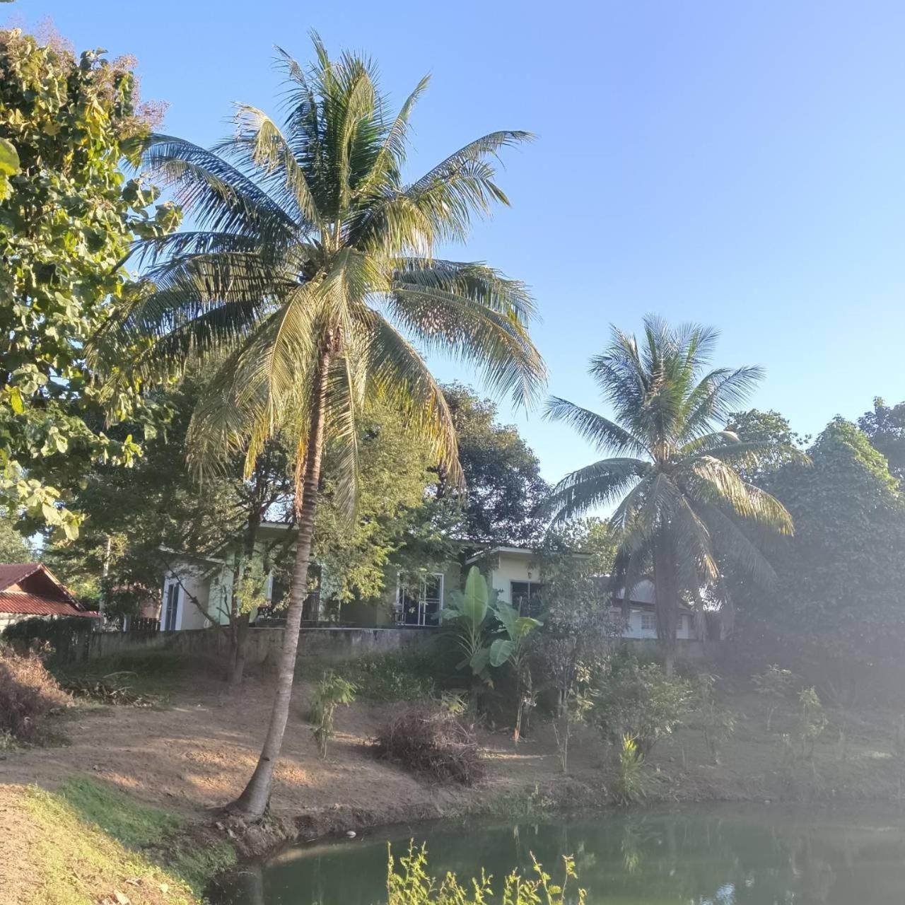 Resort Oasis 2*