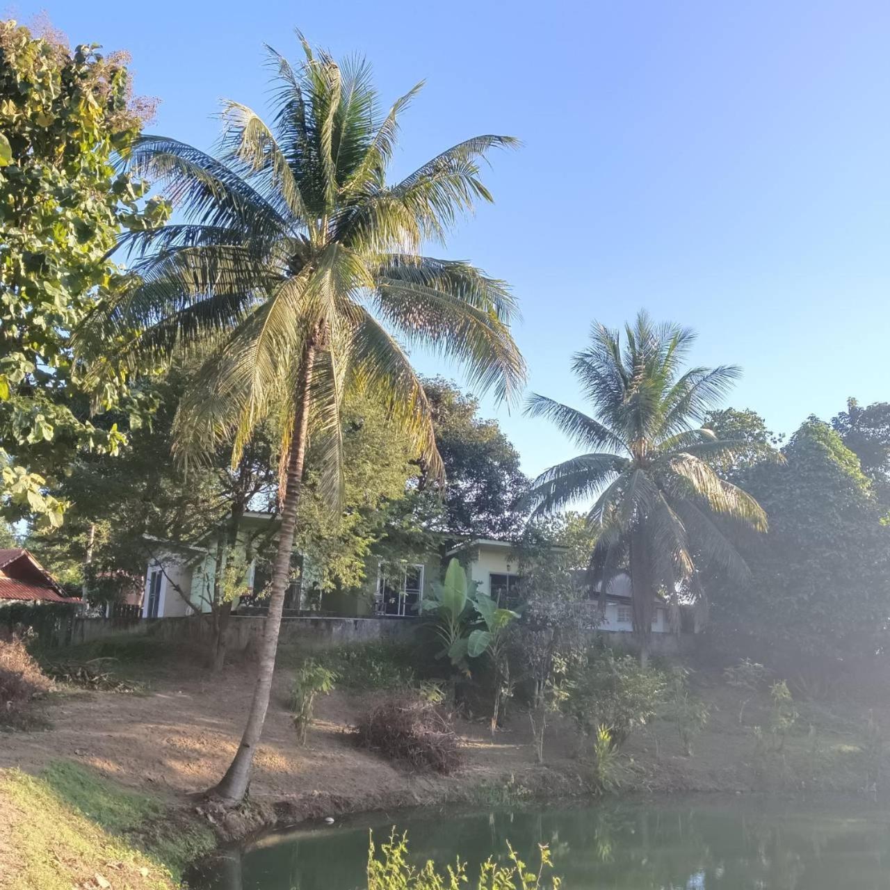 Oasis Resort Pai