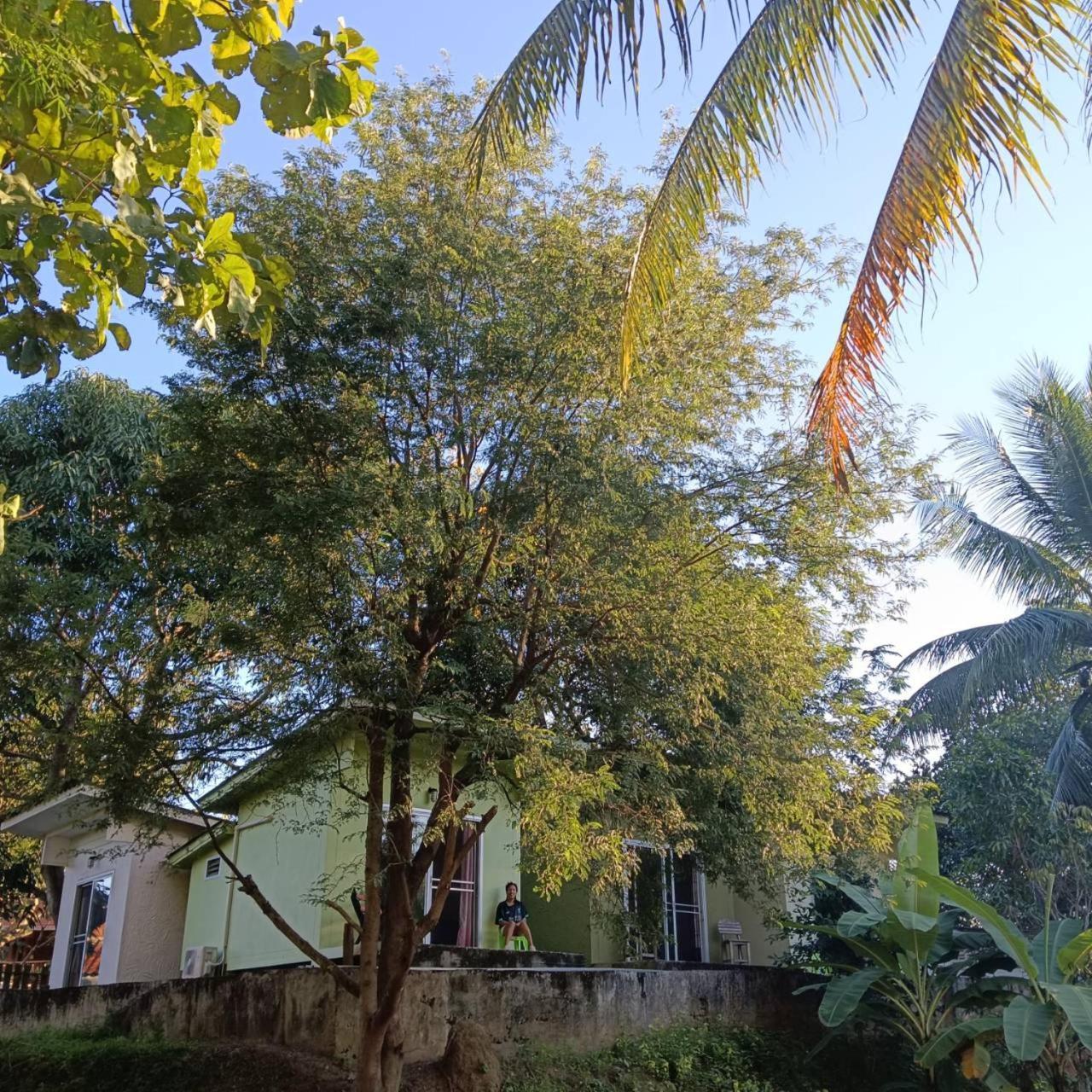 Oasis 2* Pai