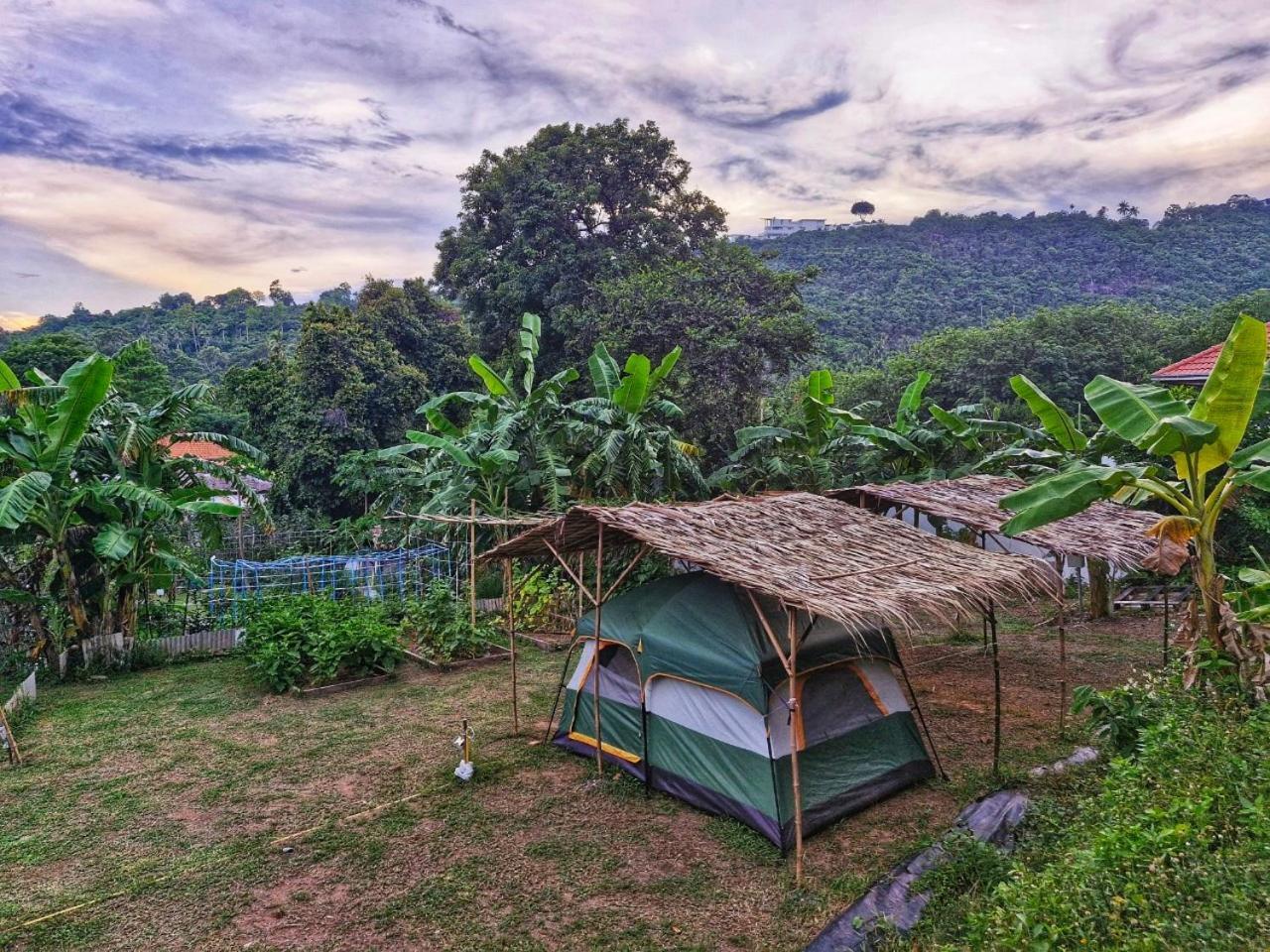 Samui Farm