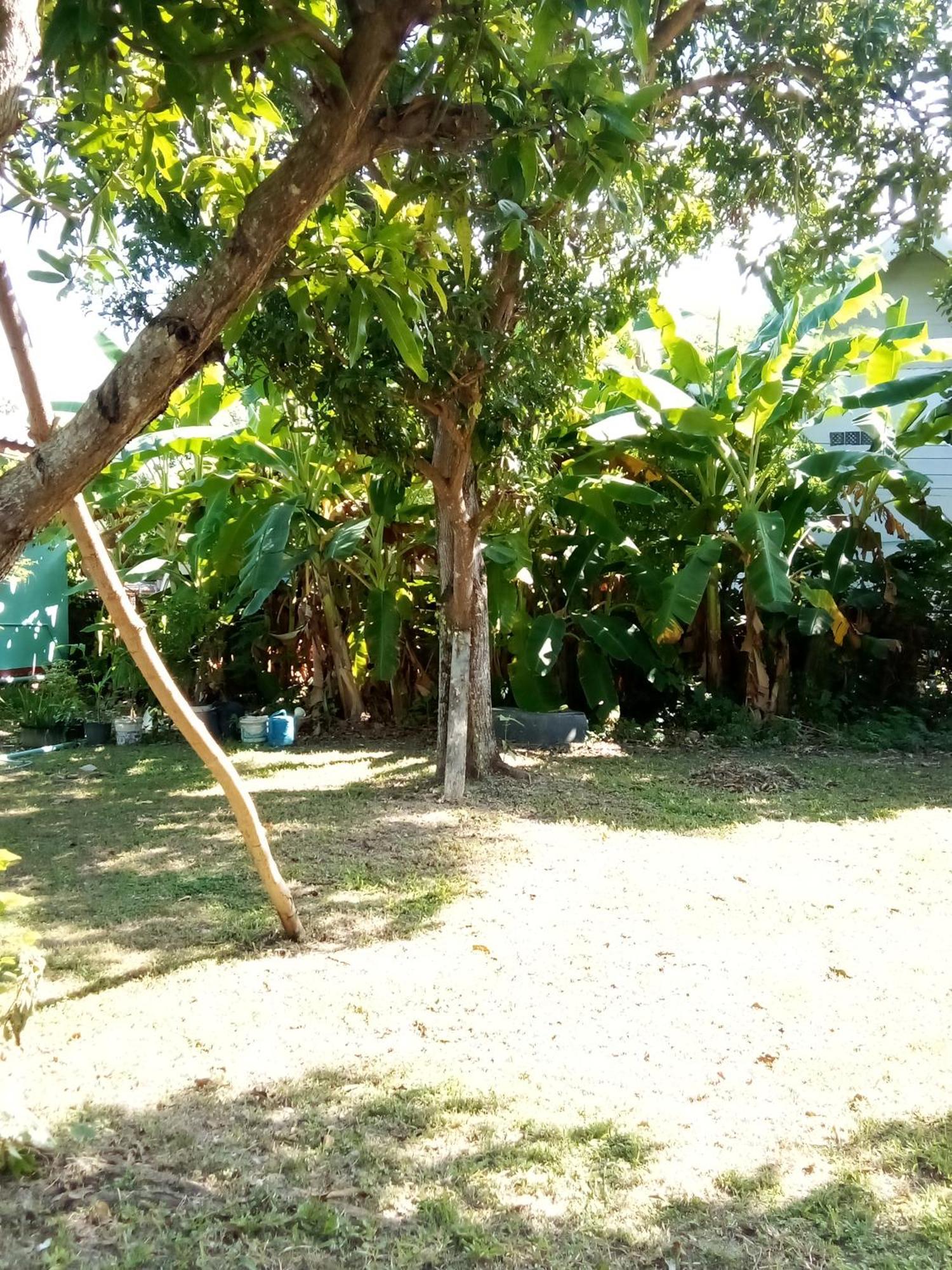 Lanta Salamat House 2*