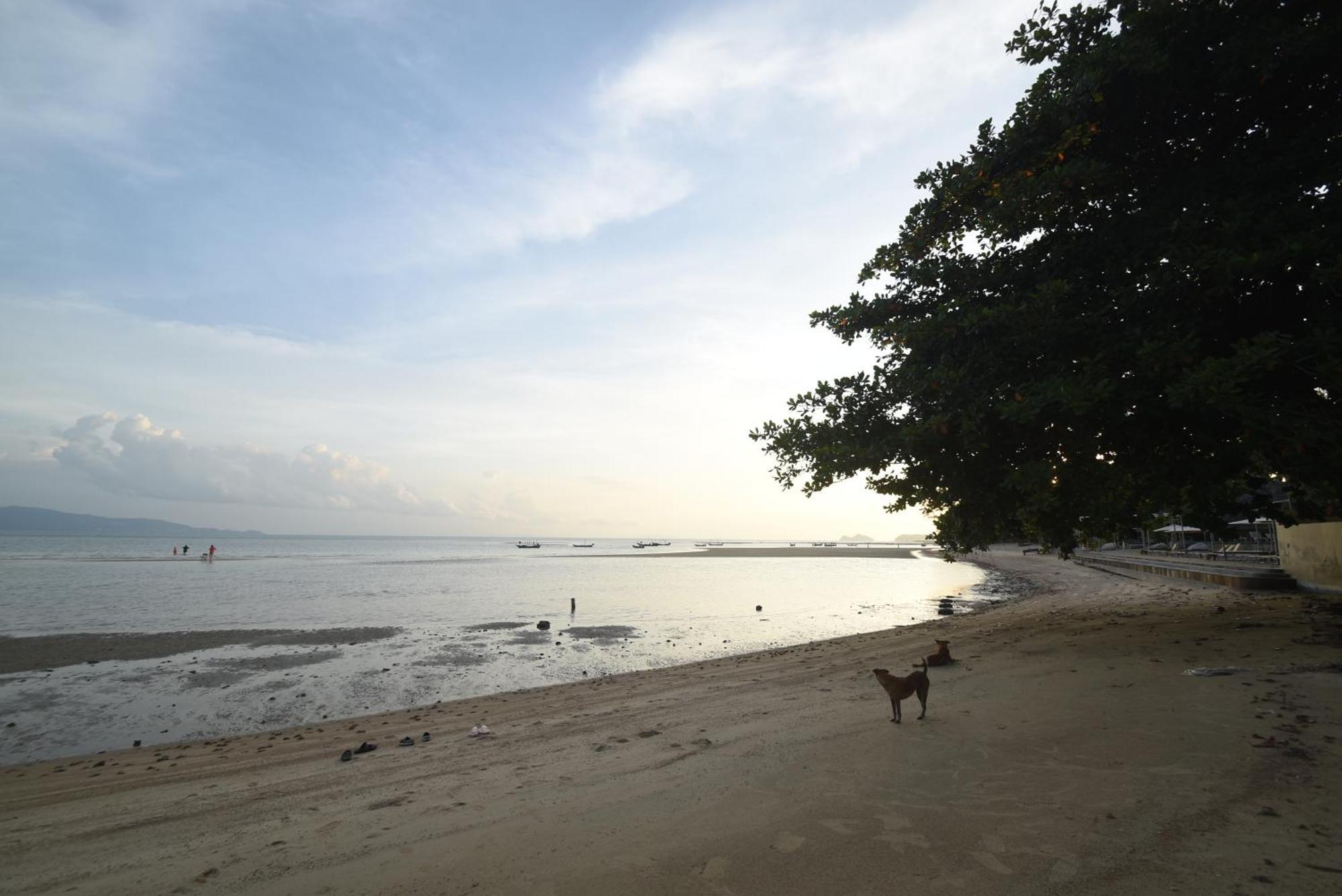 Blue Lotus Resort Baan Tai