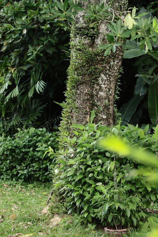 Resort Phuket Nature Nai Yang