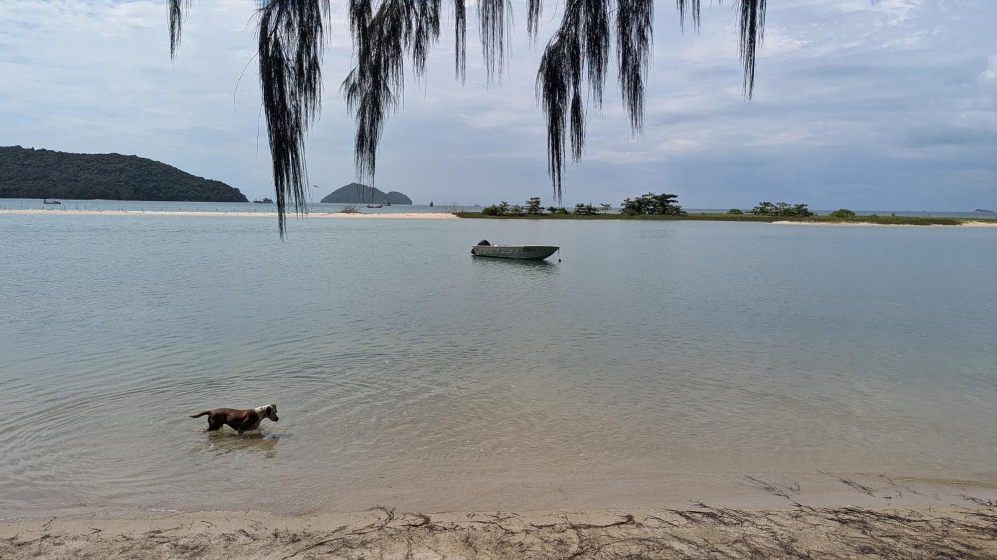 Ela's Ko Pha Ngan