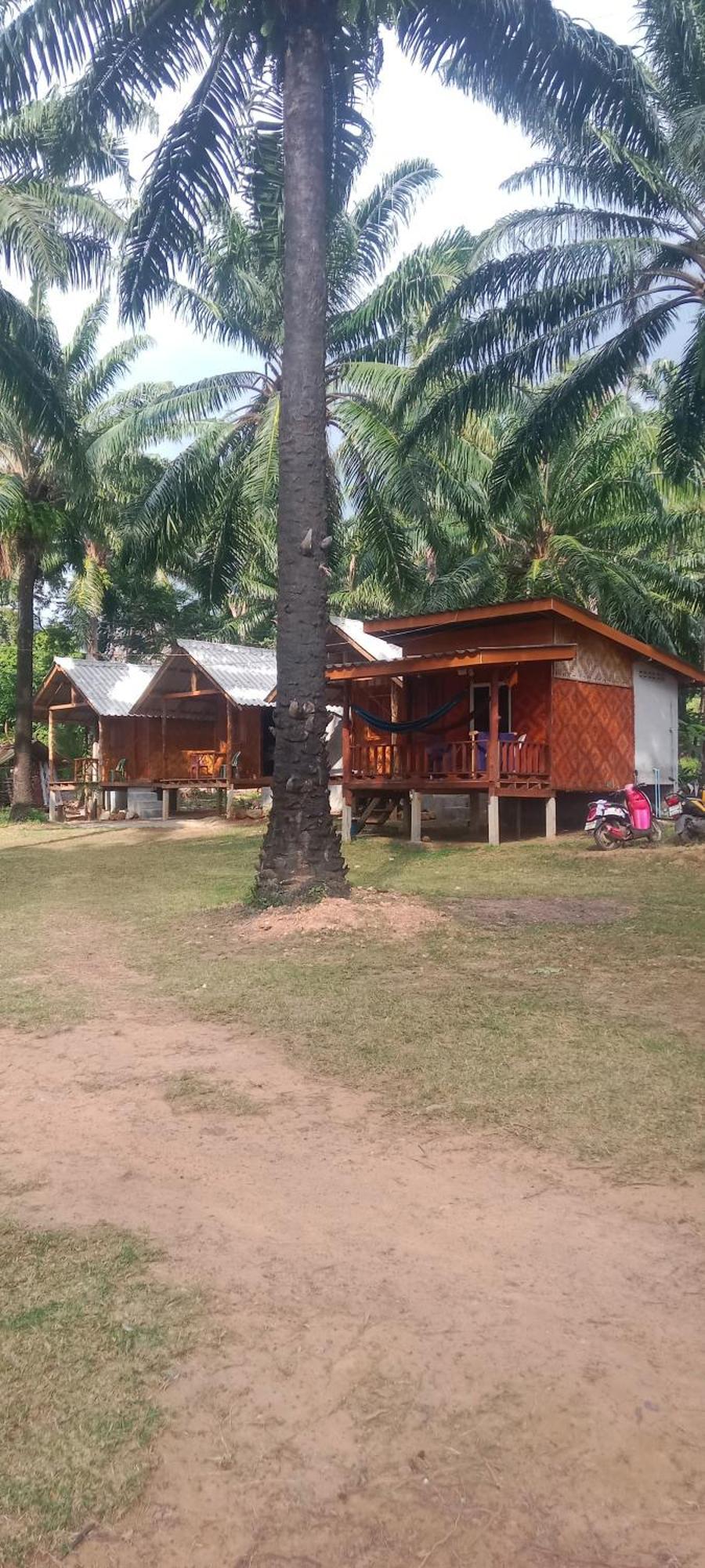 Som Palmgarden 2*