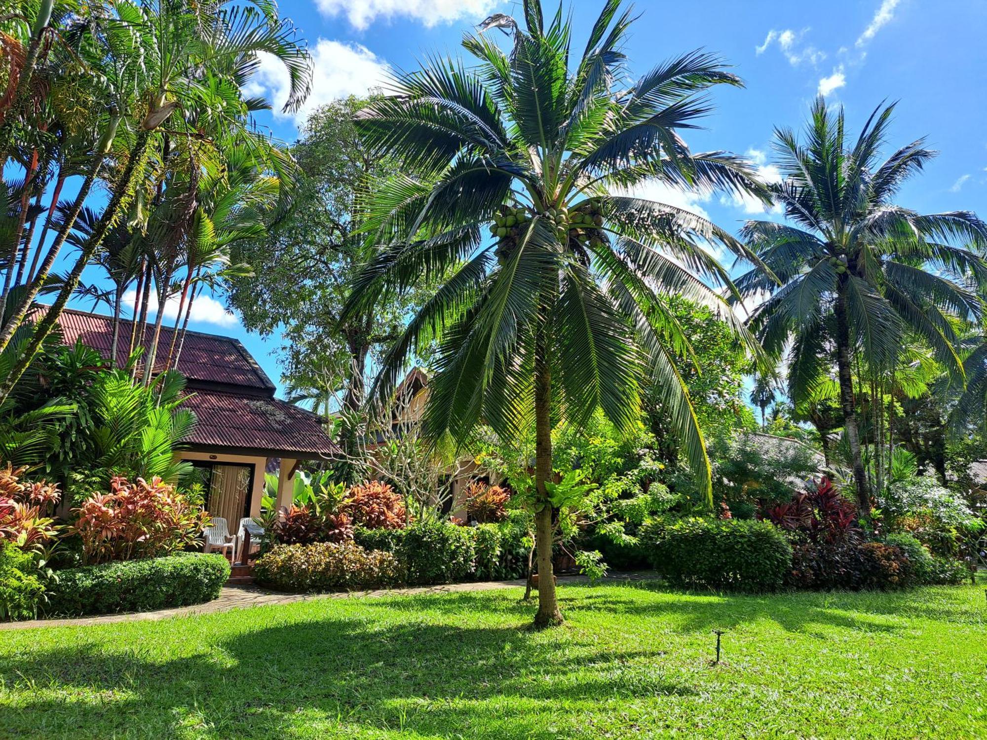 Jasmin - Sha Khao Lak