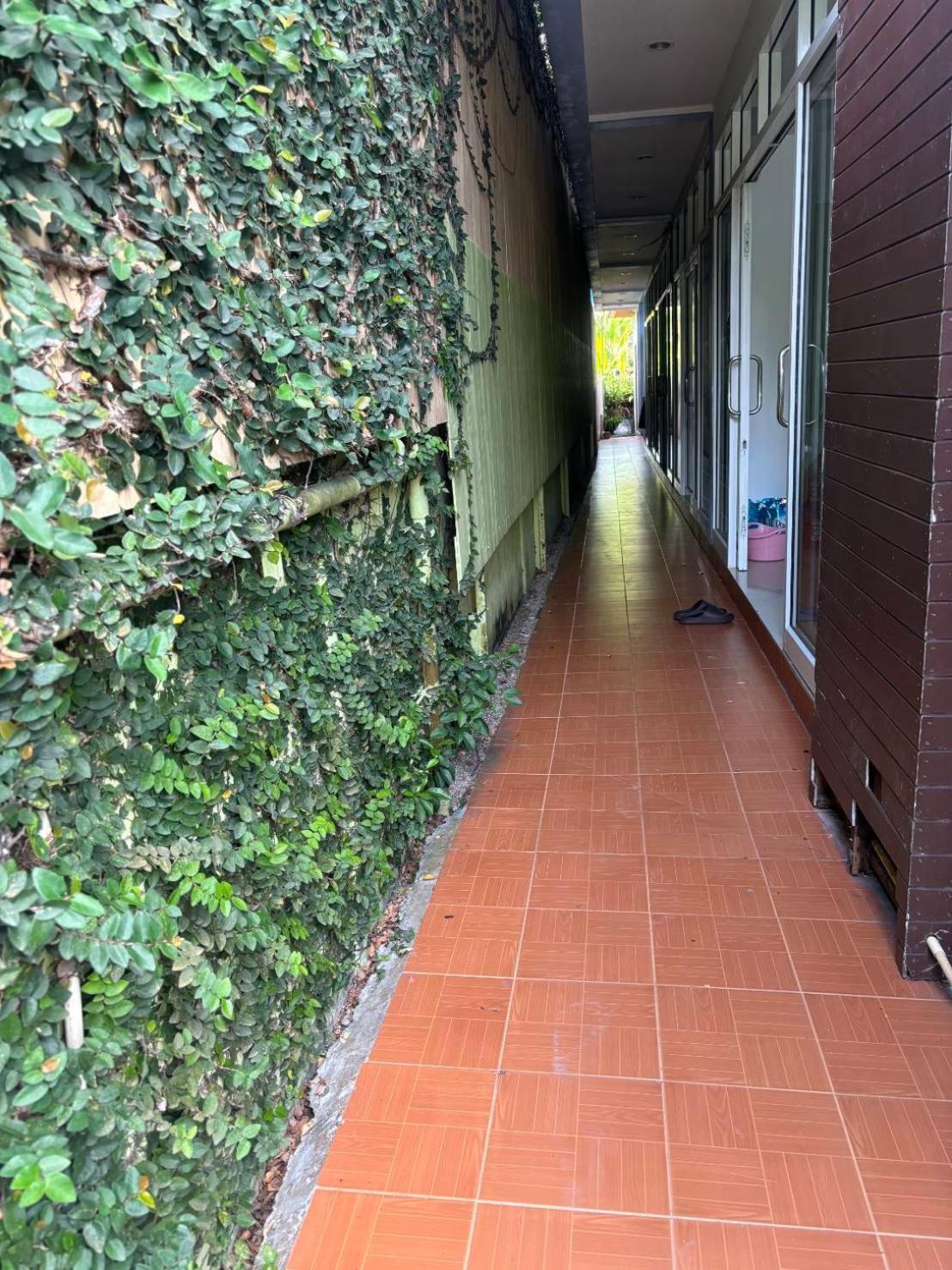 Rung Phangan Hotel