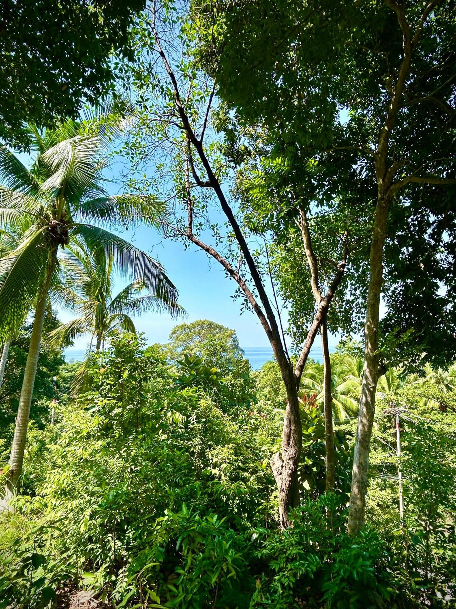 Kalani, Haad Yao