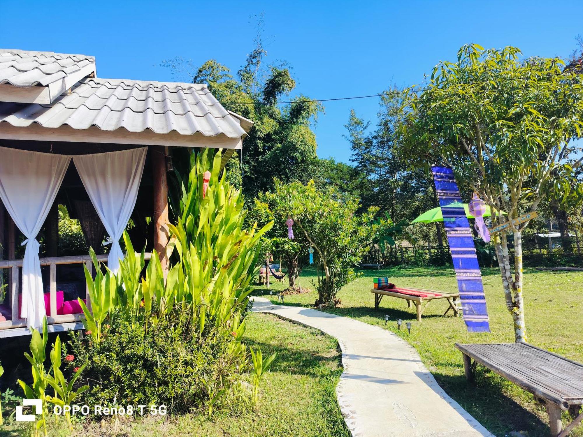 Resort Tulip 3*