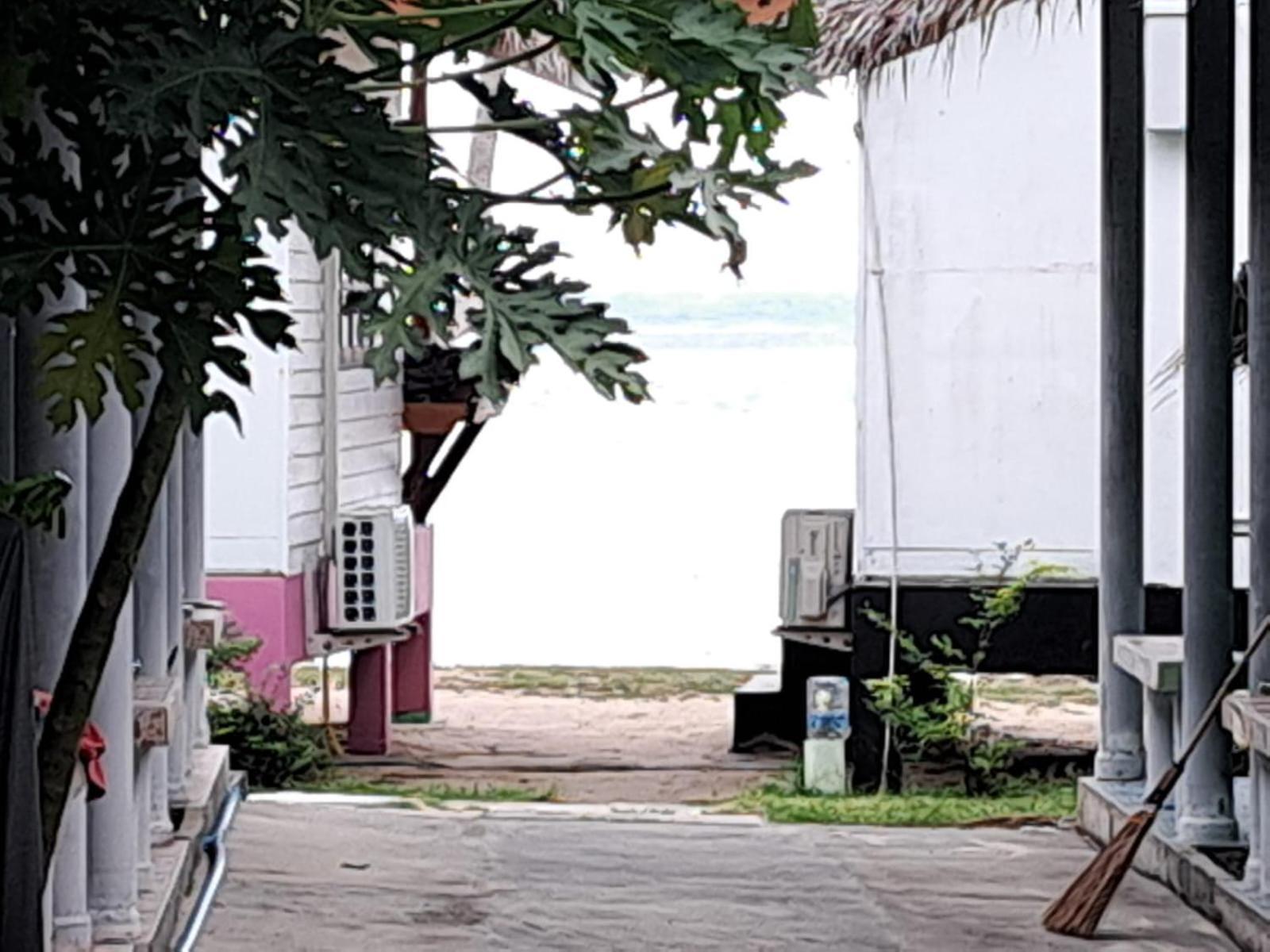 Resort Last Hammock *