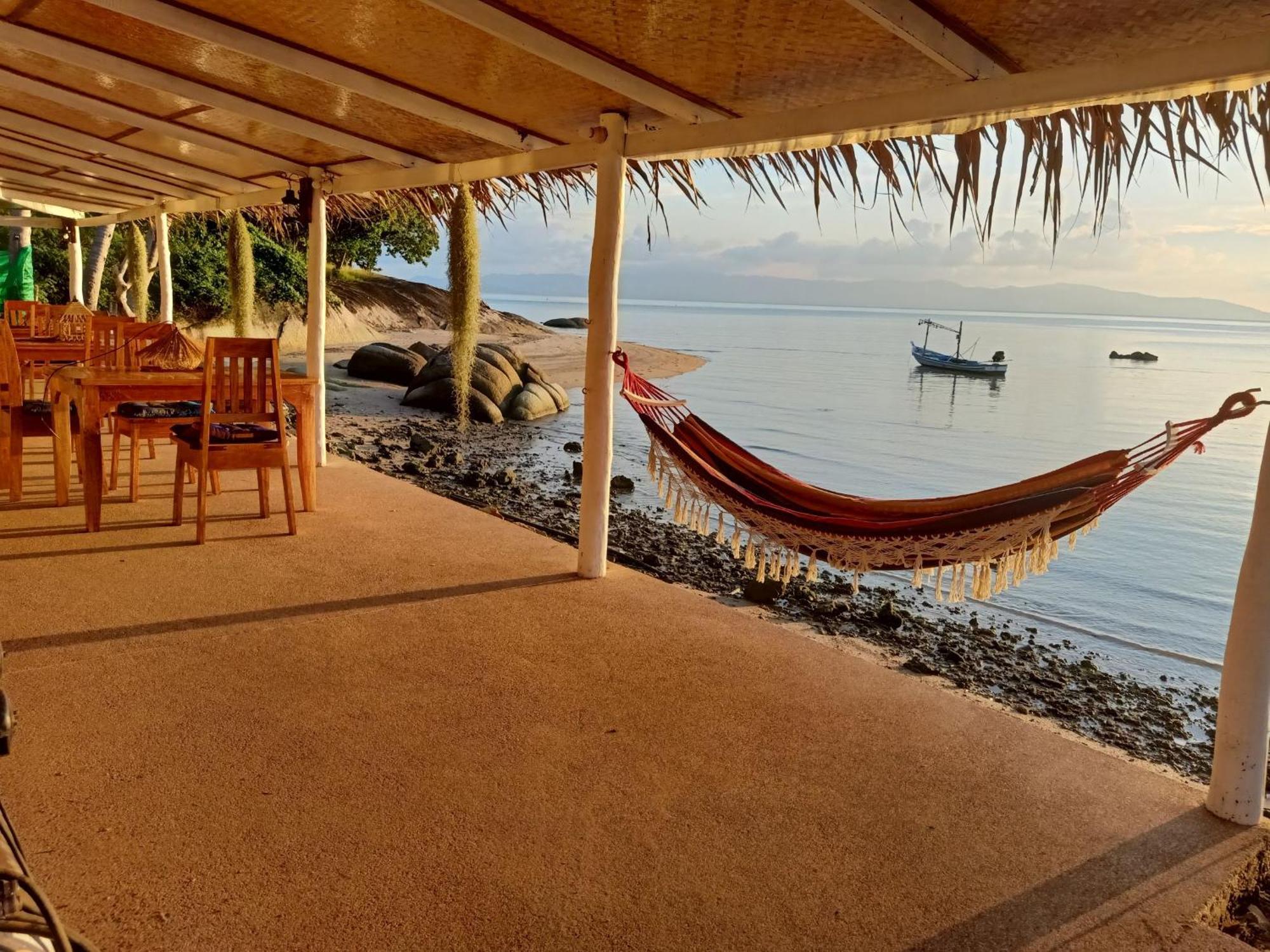 Last Hammock *