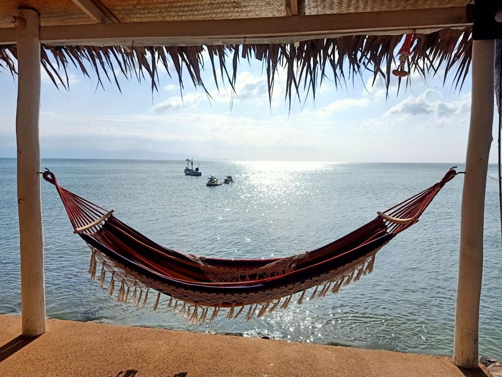 Last Hammock