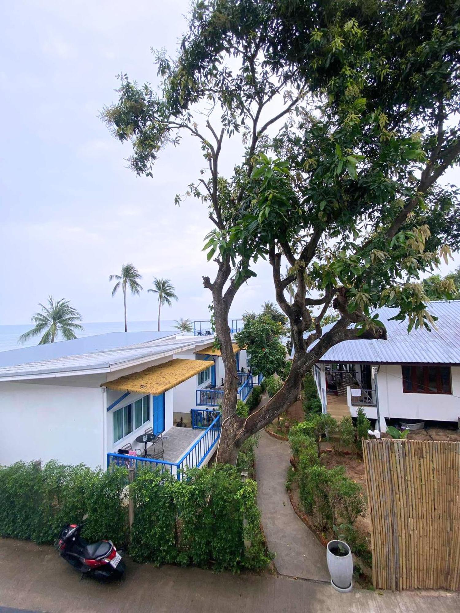 Three Trees Samui - Sarocha