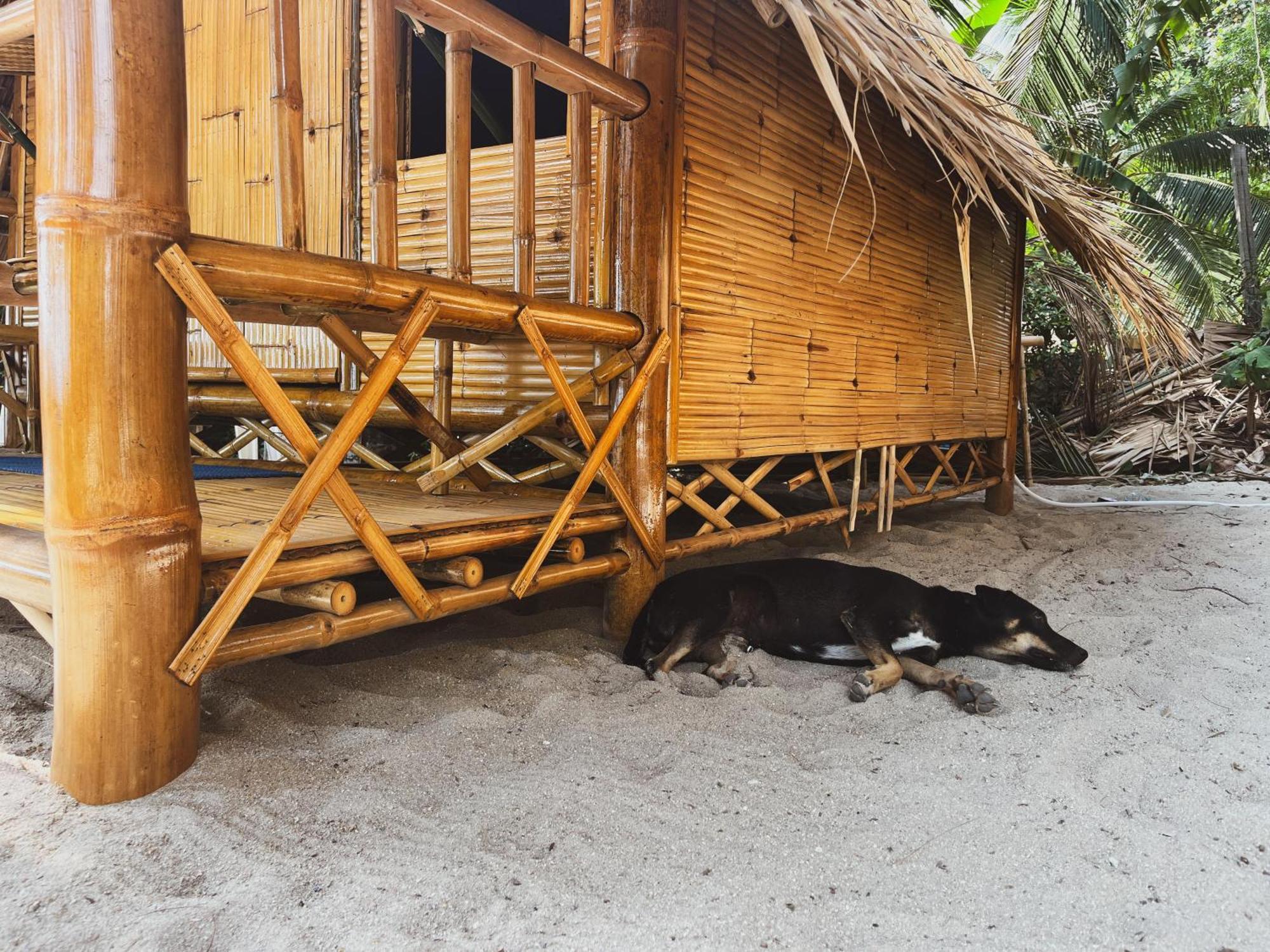 Echo Hostel Baan Tai