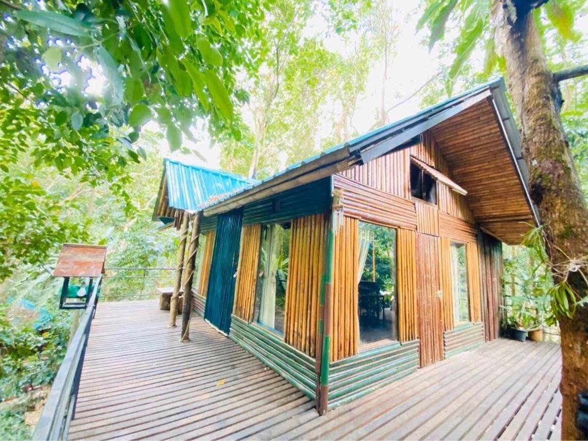 Resort Khao Sok Tree House Khao Sok National Park