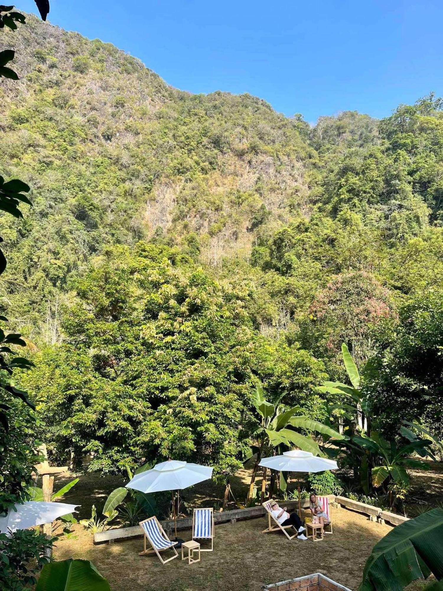 Khao Sok Mountain View 2*