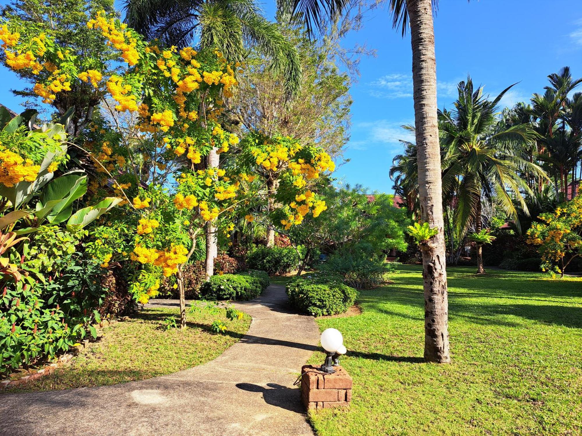 Resort Jasmin - Sha Khao Lak