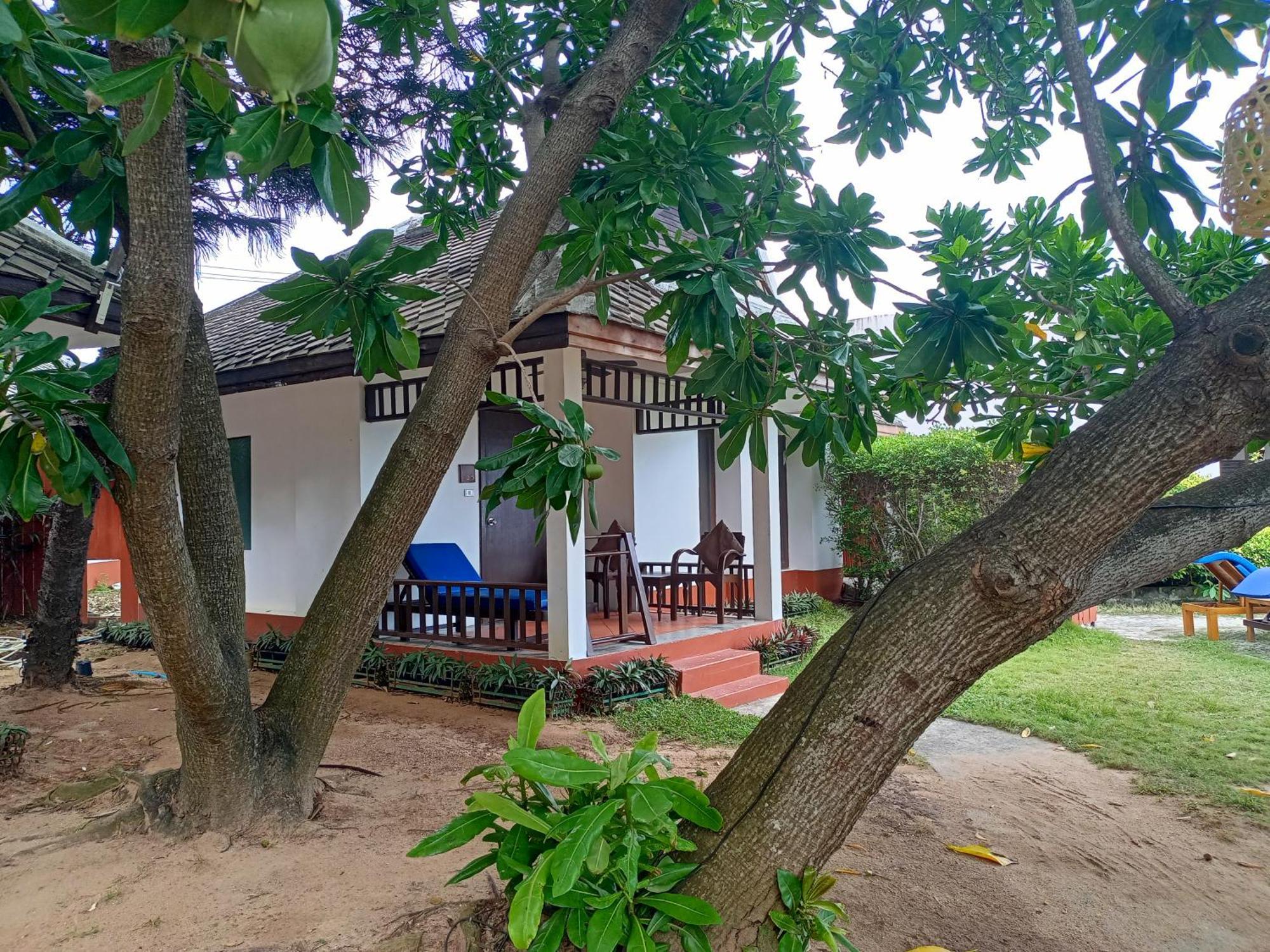 Resort The Hive Lamai Beach (Koh Samui)