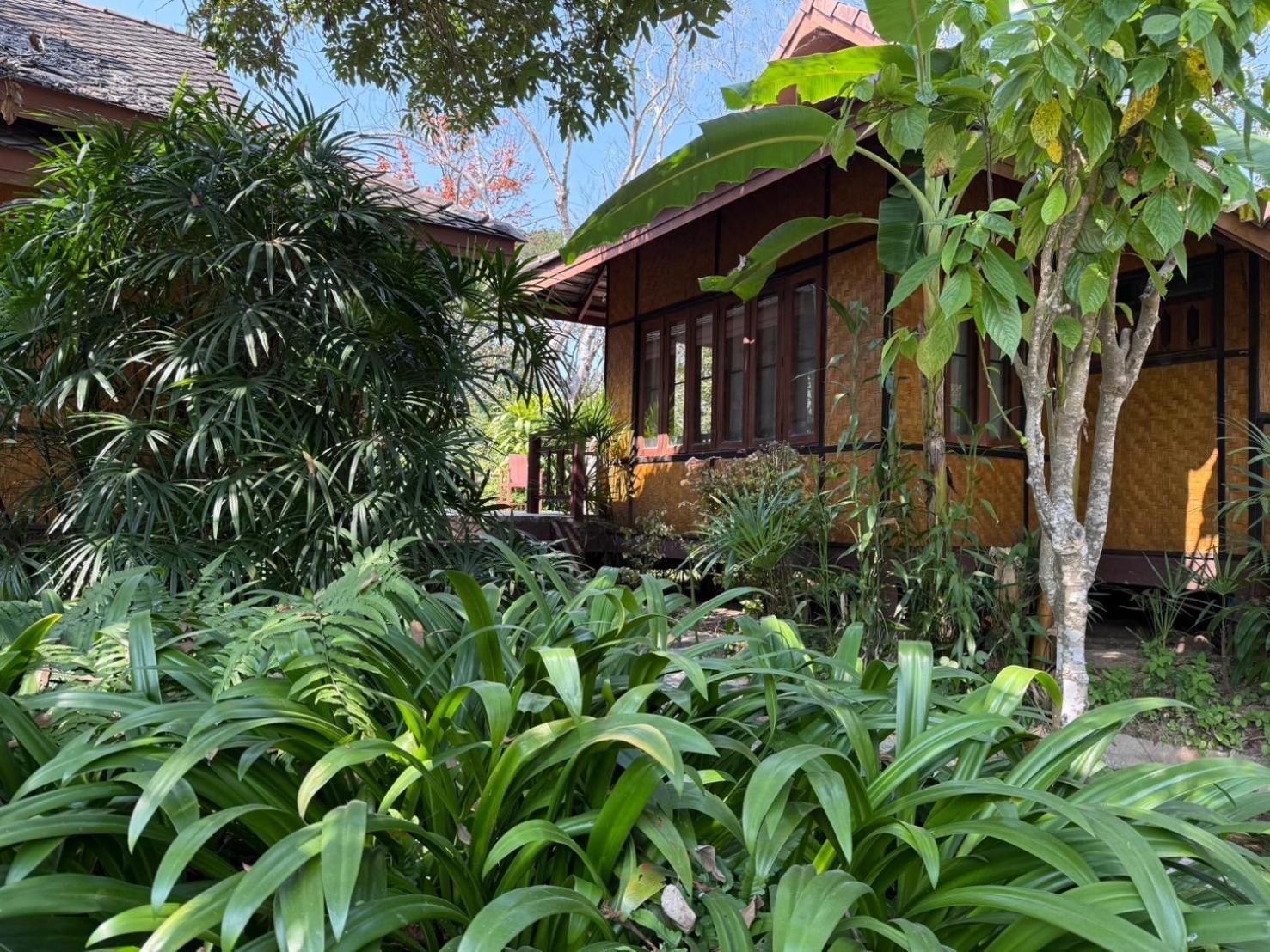 Baan Krating - Sha Pai