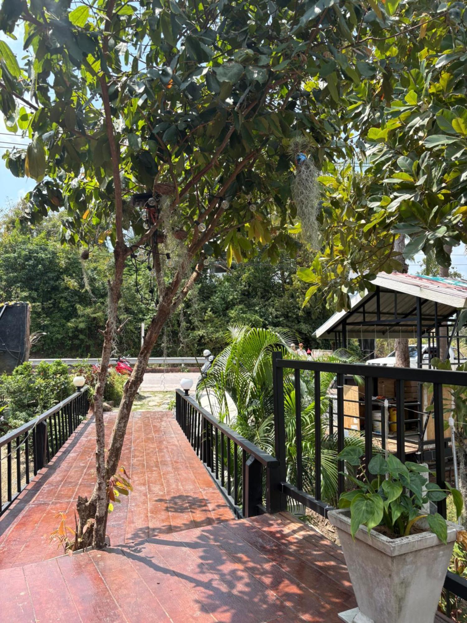 Campsite Kopan House