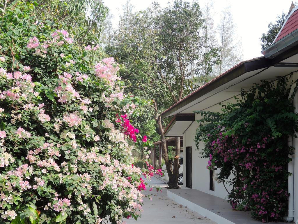 Mango & 3* Hua Hin