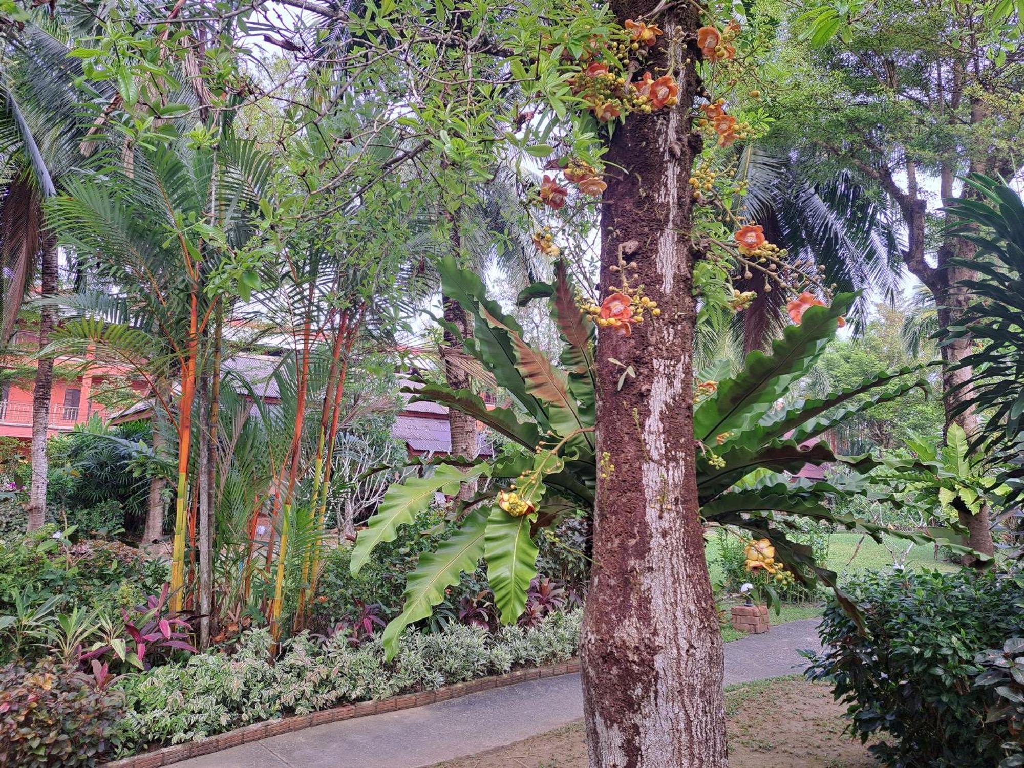 Resort Jasmin - Sha