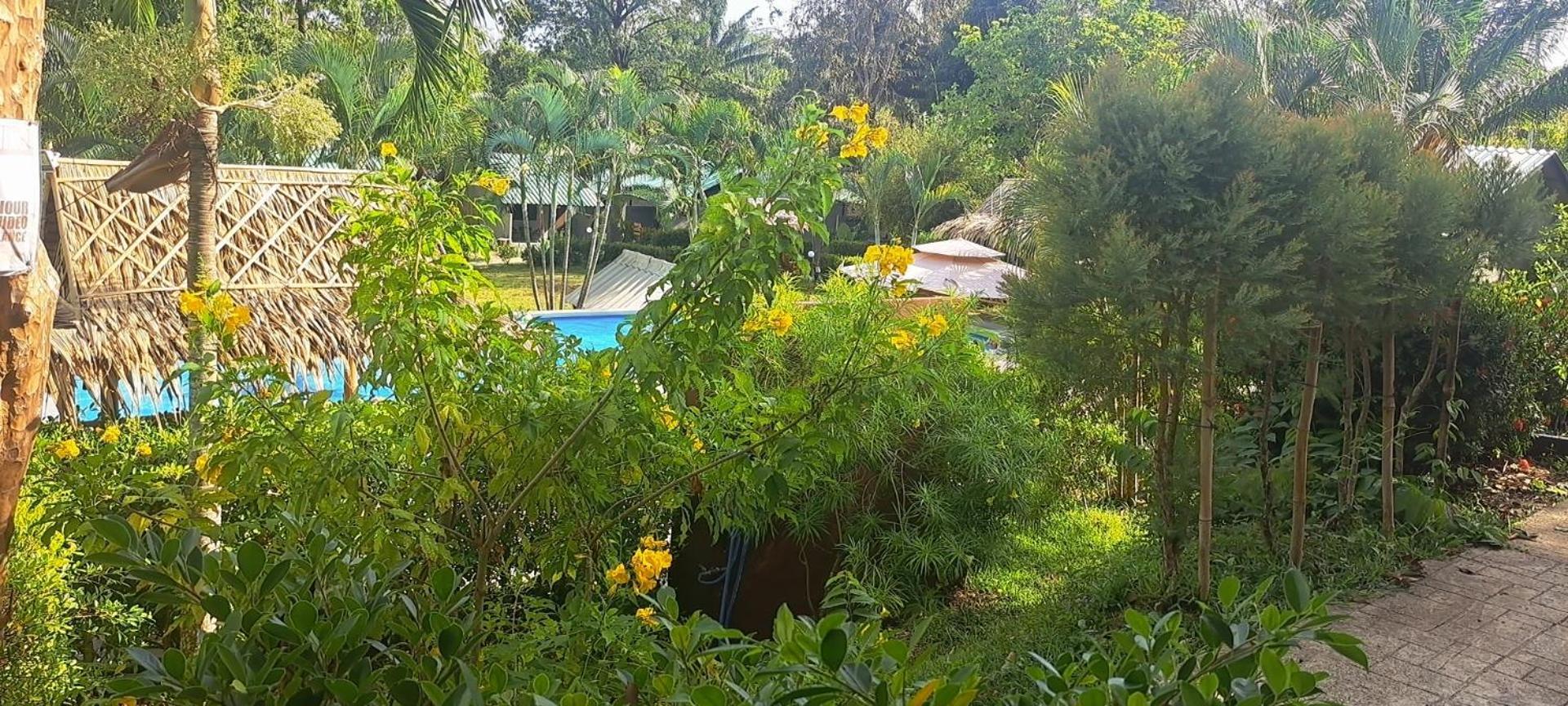 Siam Flora