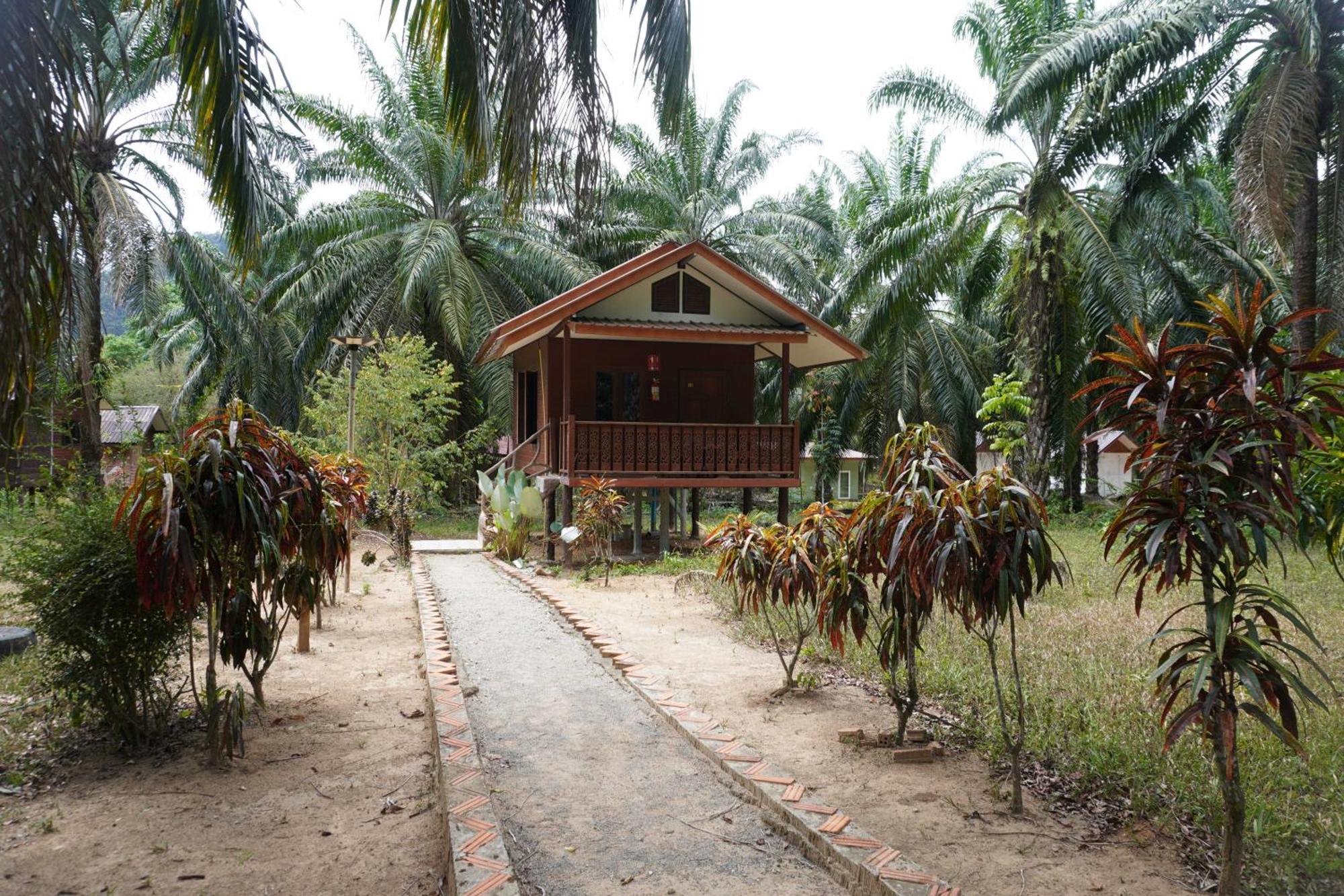 Khao Sok Palmview Khao Sok National Park