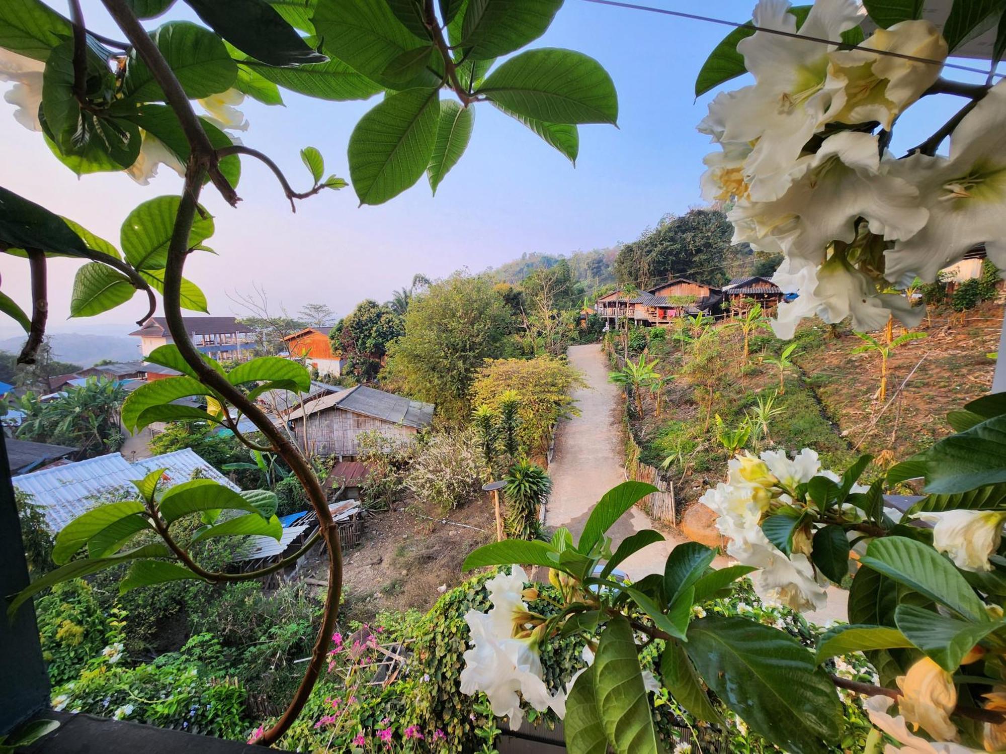 บ้านภูคำฟ้า ดอยปู่ไข่ Baan Phu Kham Fah Hotel