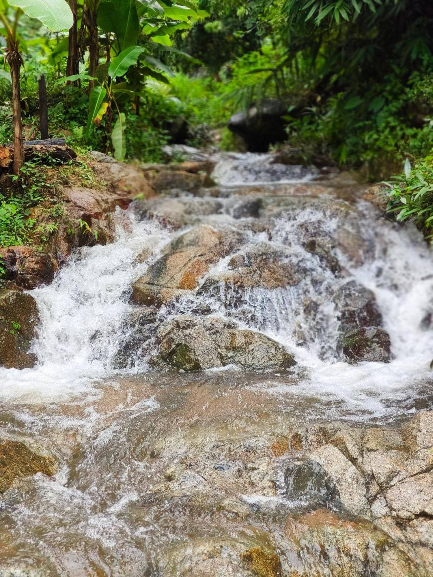 Hotel บ้านภูคำฟ้า ดอยปู่ไข่ Baan Phu Kham Fah 4*