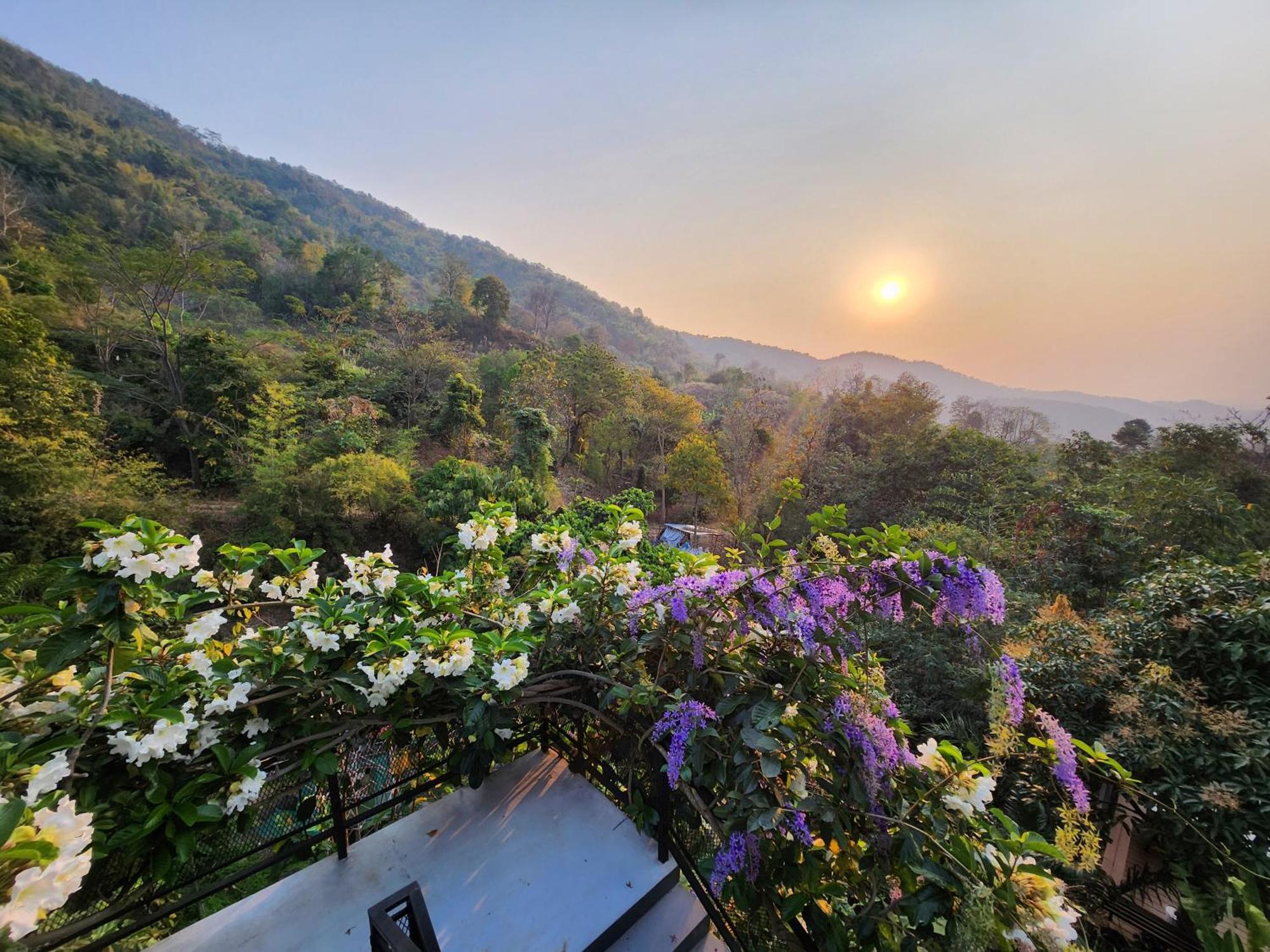 บ้านภูคำฟ้า ดอยปู่ไข่ Baan Phu Kham Fah Chiang Rai