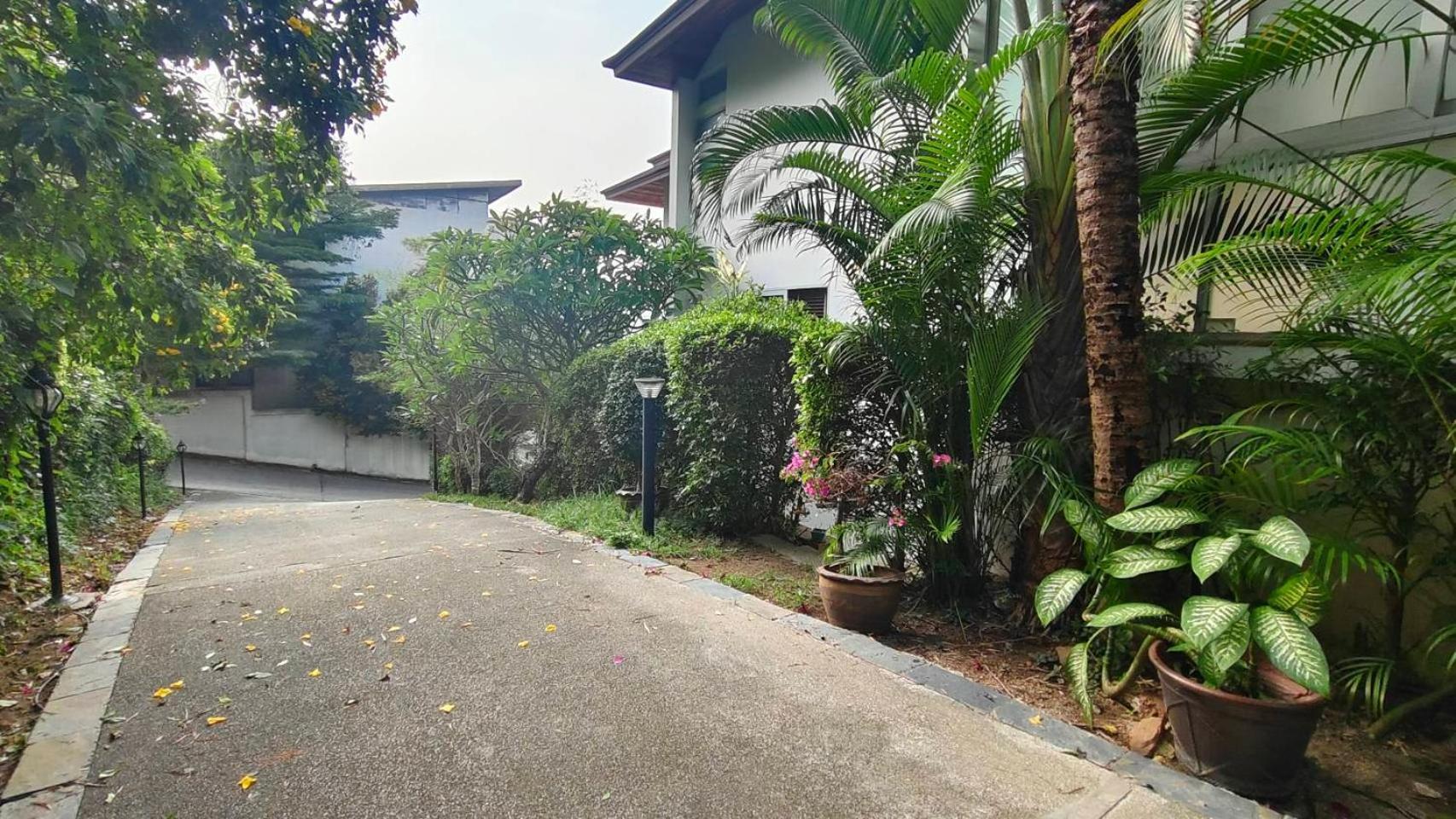 Monsoon Amphoe Koksamui