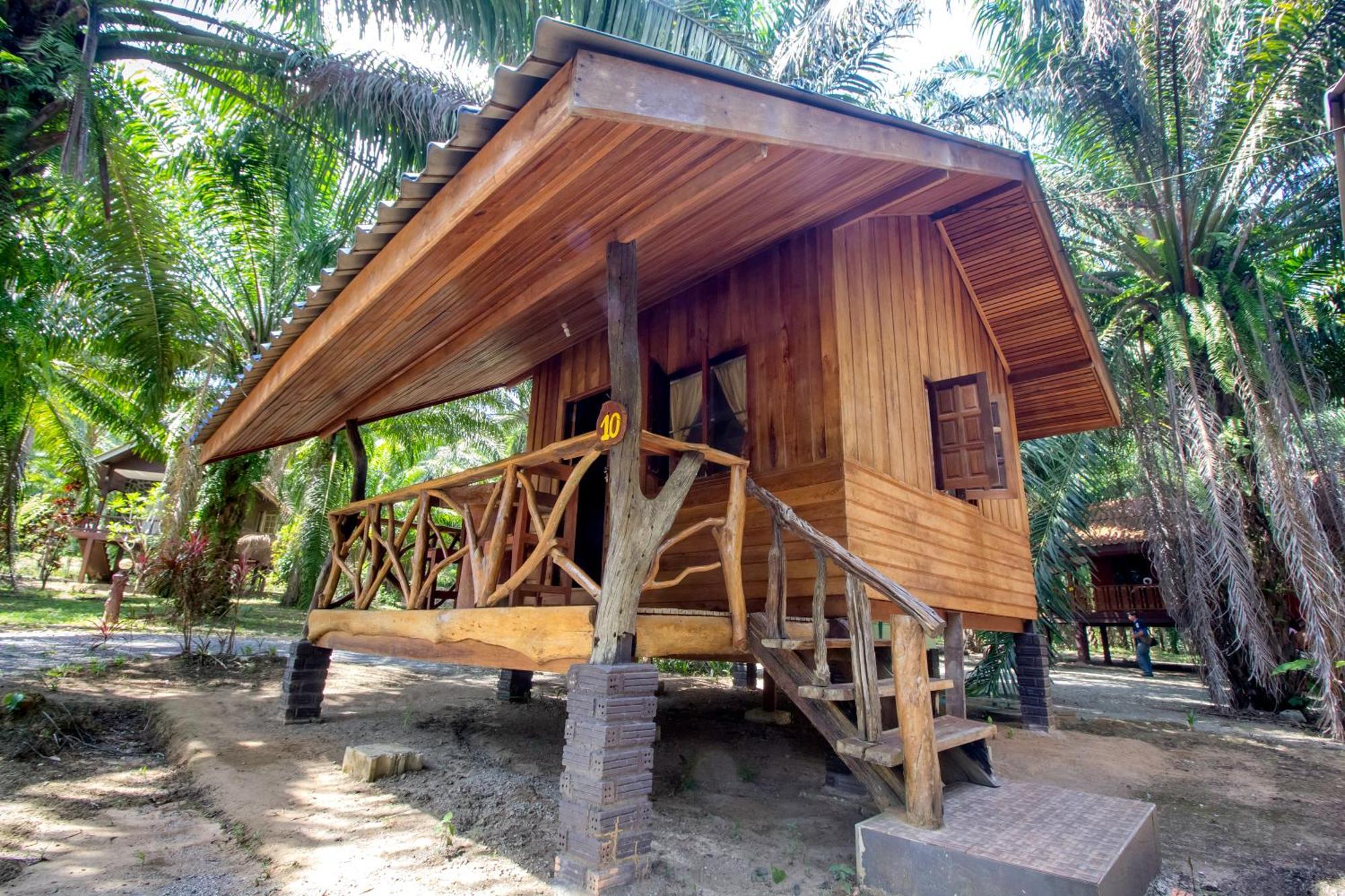 Khao Sok Palmview
