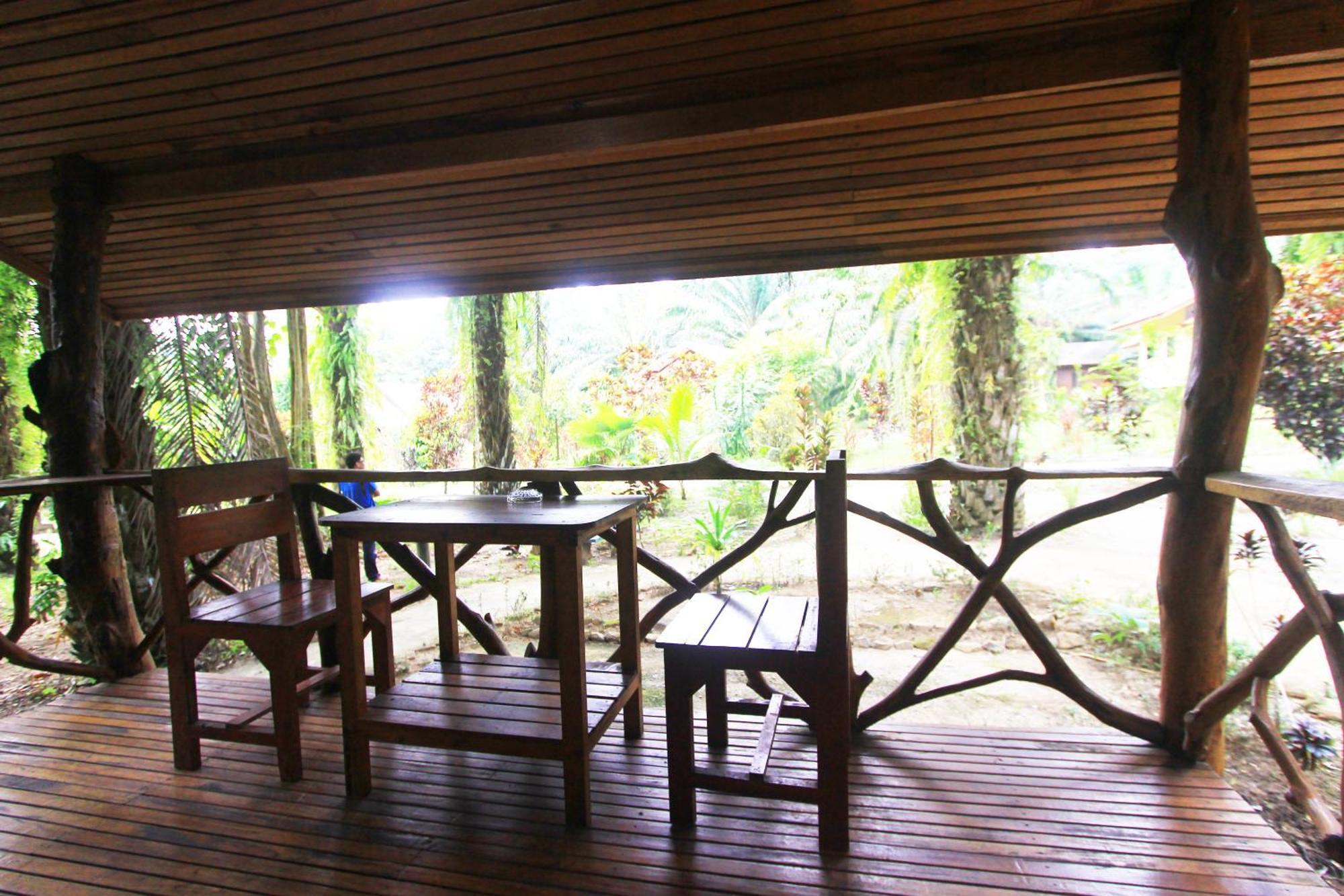 Khao Sok Palmview