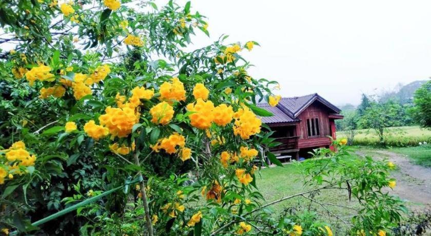 Resort Nai Khun Khao Chiang Mai