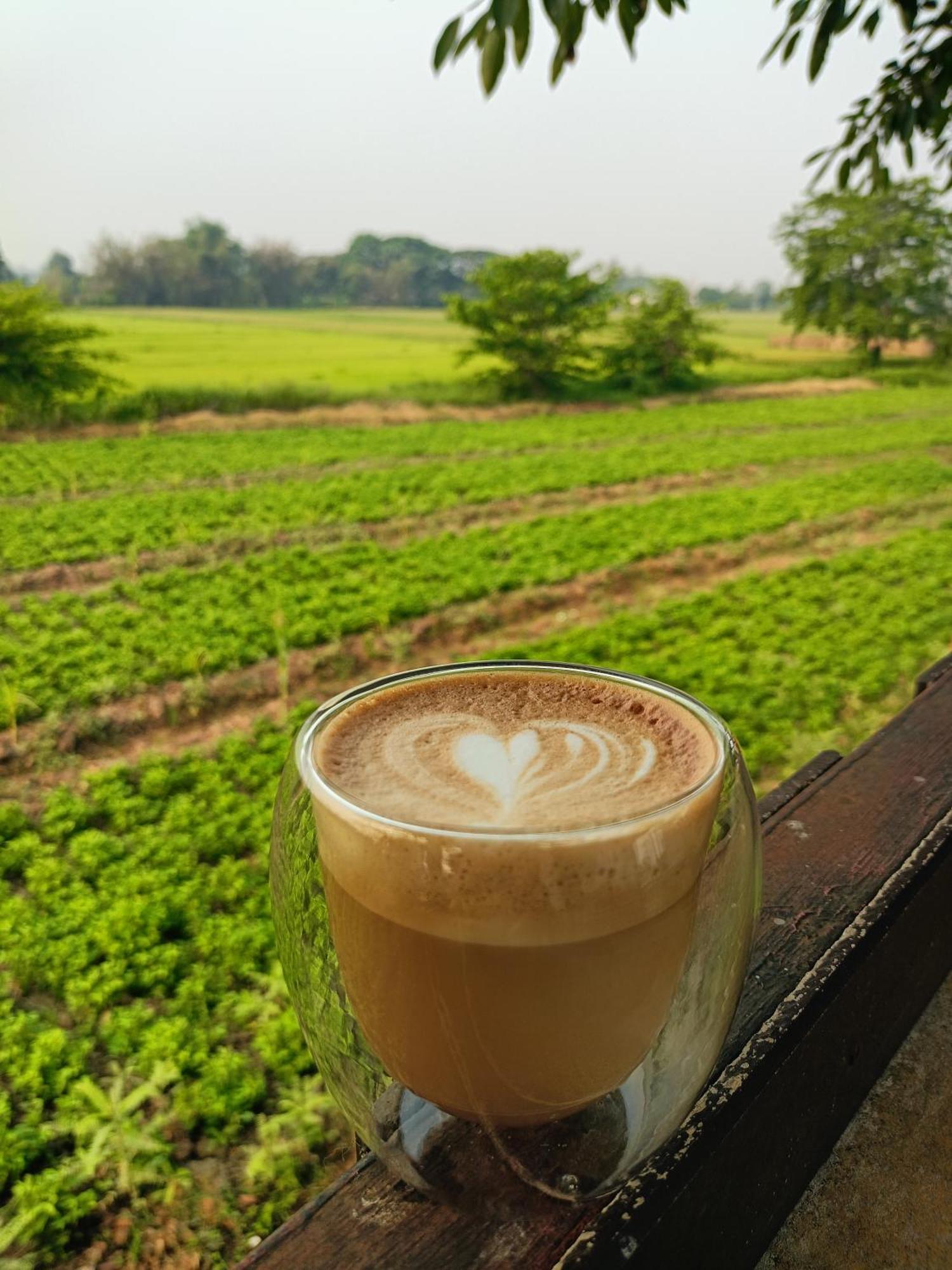 Six Nature 2* Chiang Rai