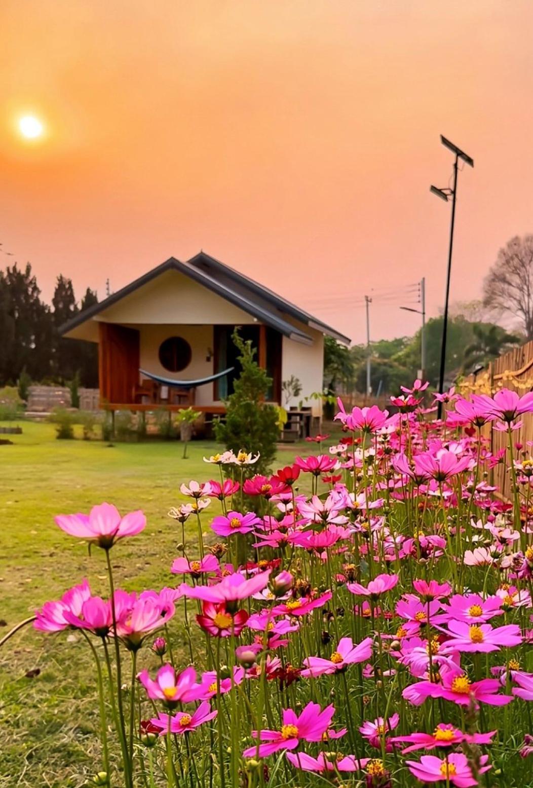 Bed & Breakfast Nam Now 2*