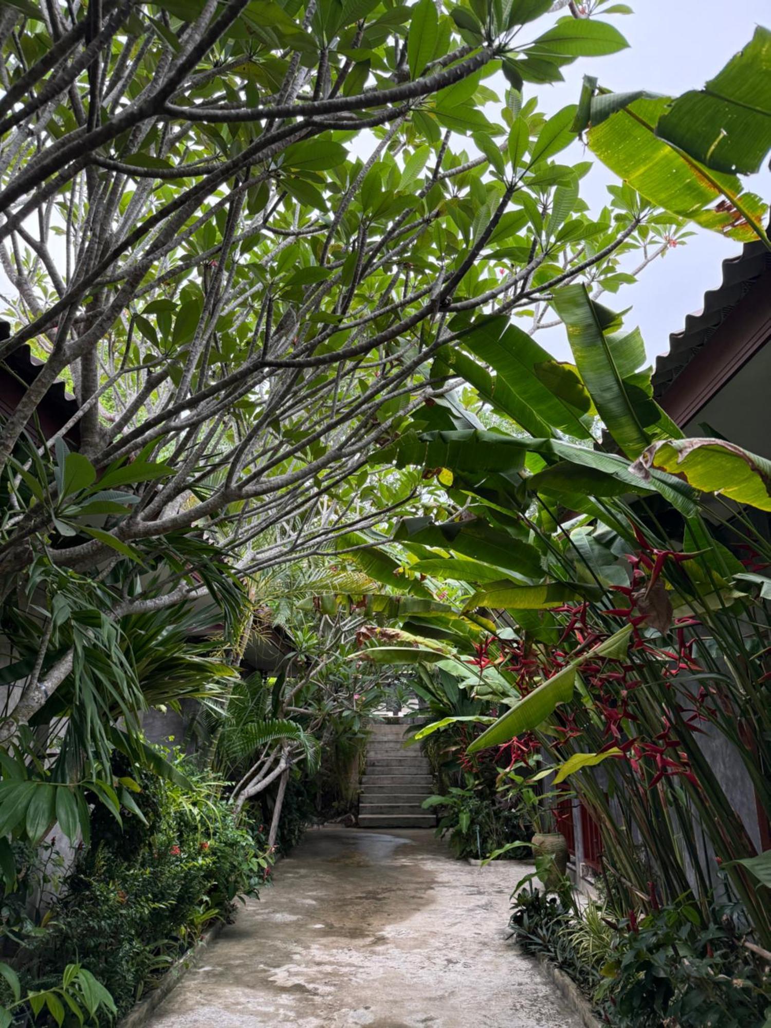 Siam Lanta - Sha Extra Resort Koh Lanta