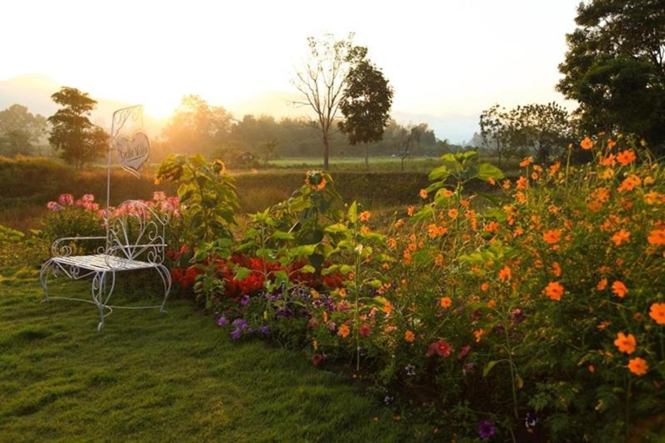 Belle Resort, 4*