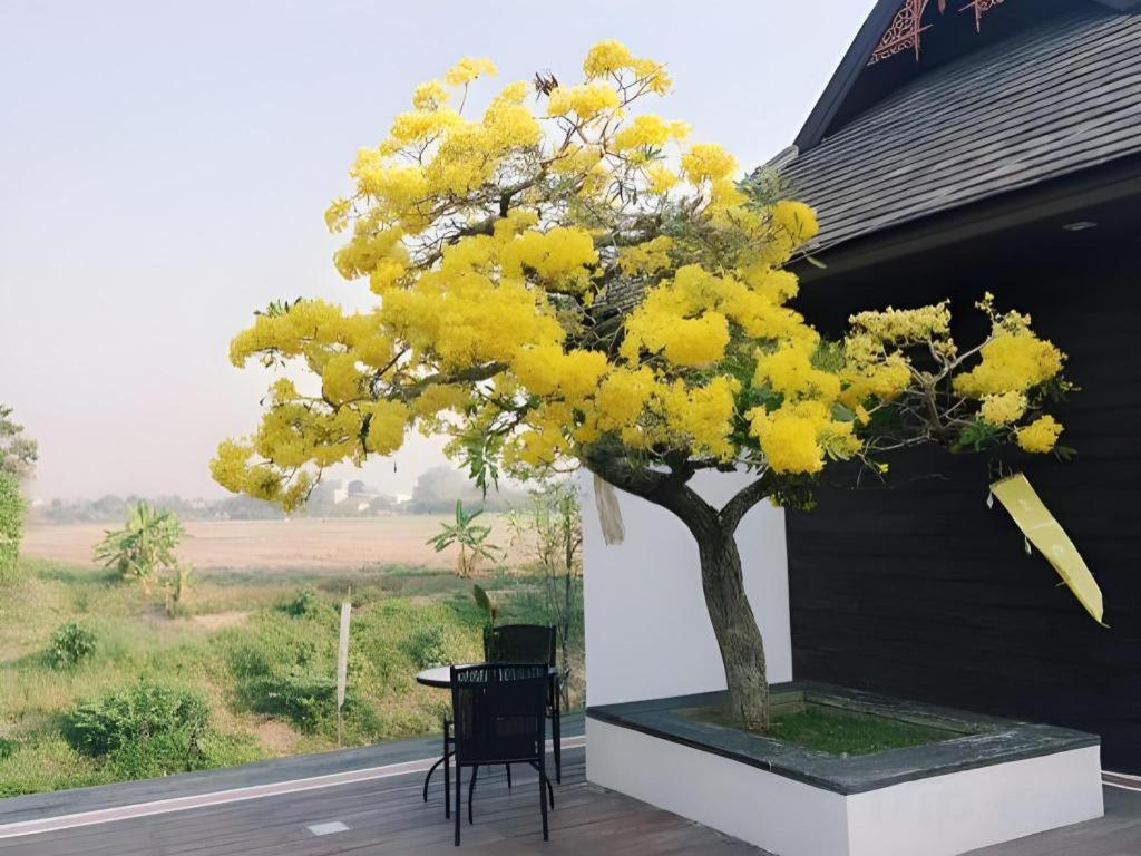 Doltara Boutique Resort