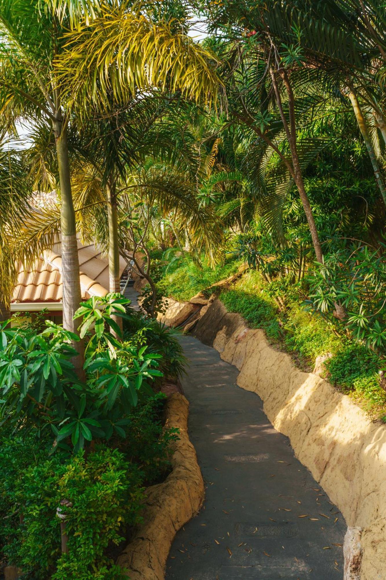 Pinnacle Koh Tao