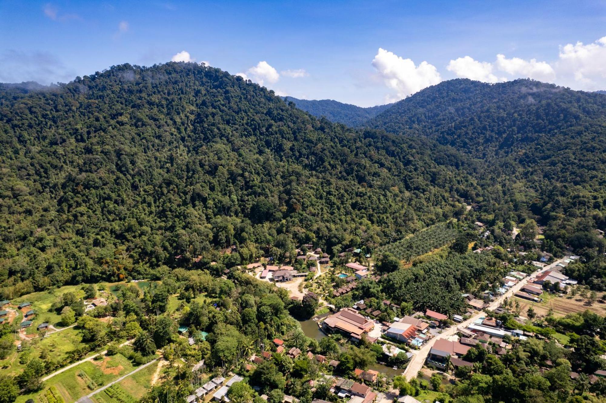 Resort Khaosok Rainforest 3*
